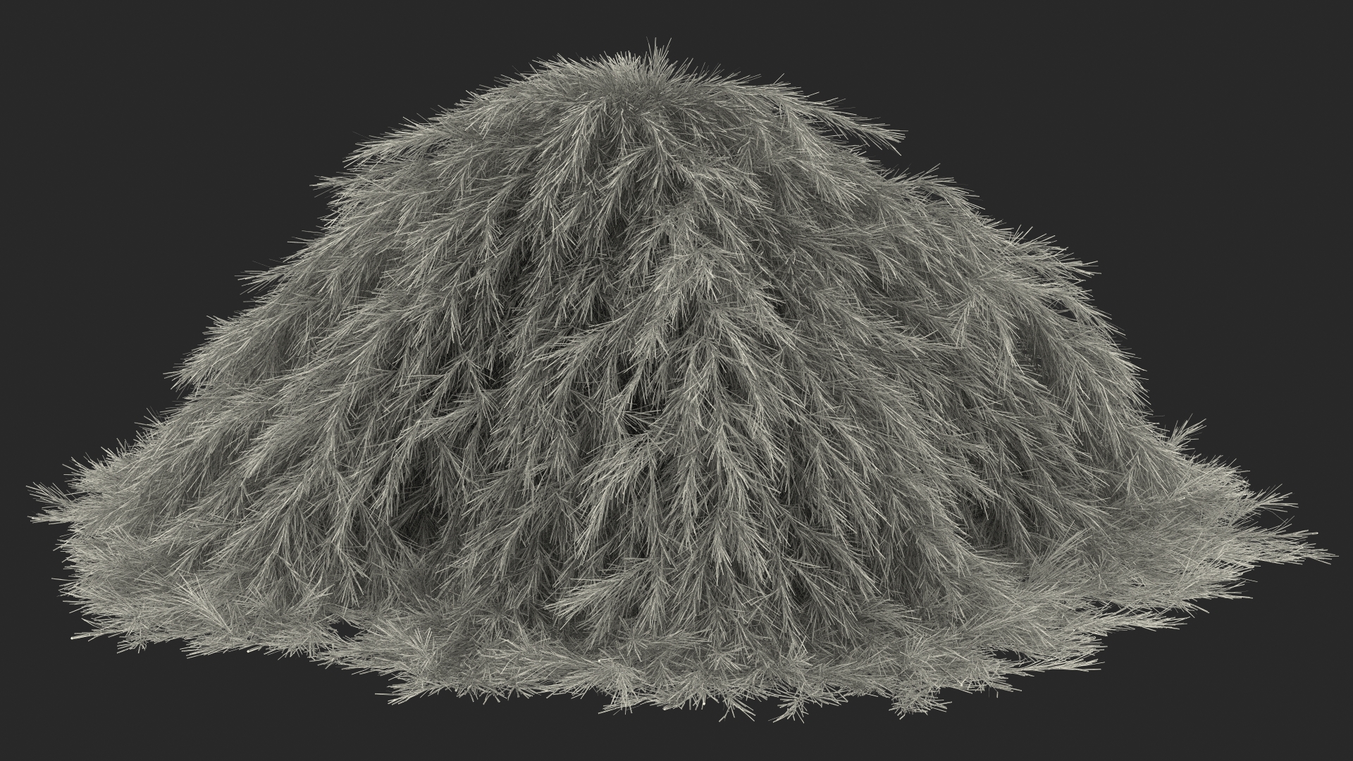 3D Acacia Cognata Mini Cog model