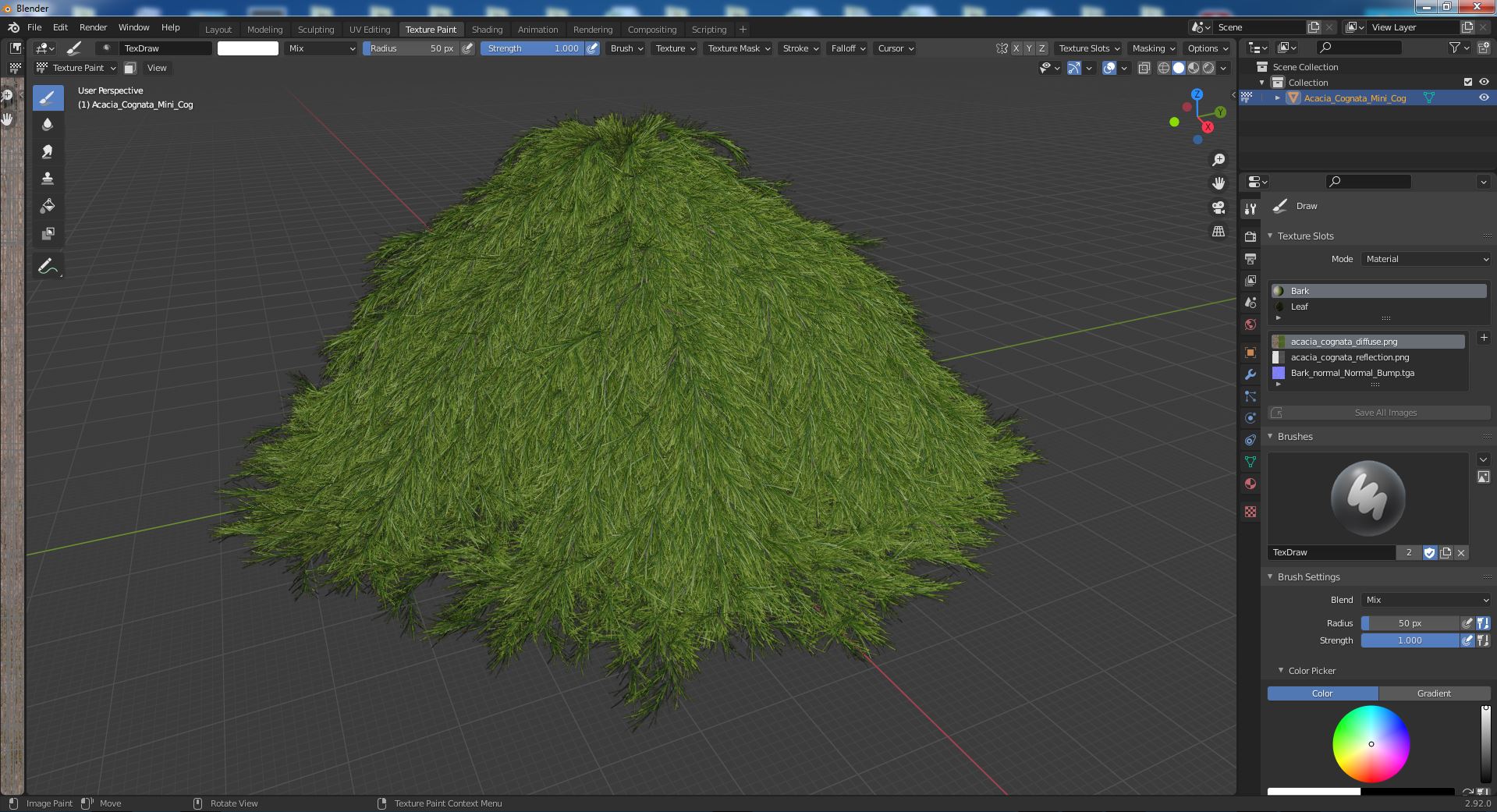 3D Acacia Cognata Mini Cog model