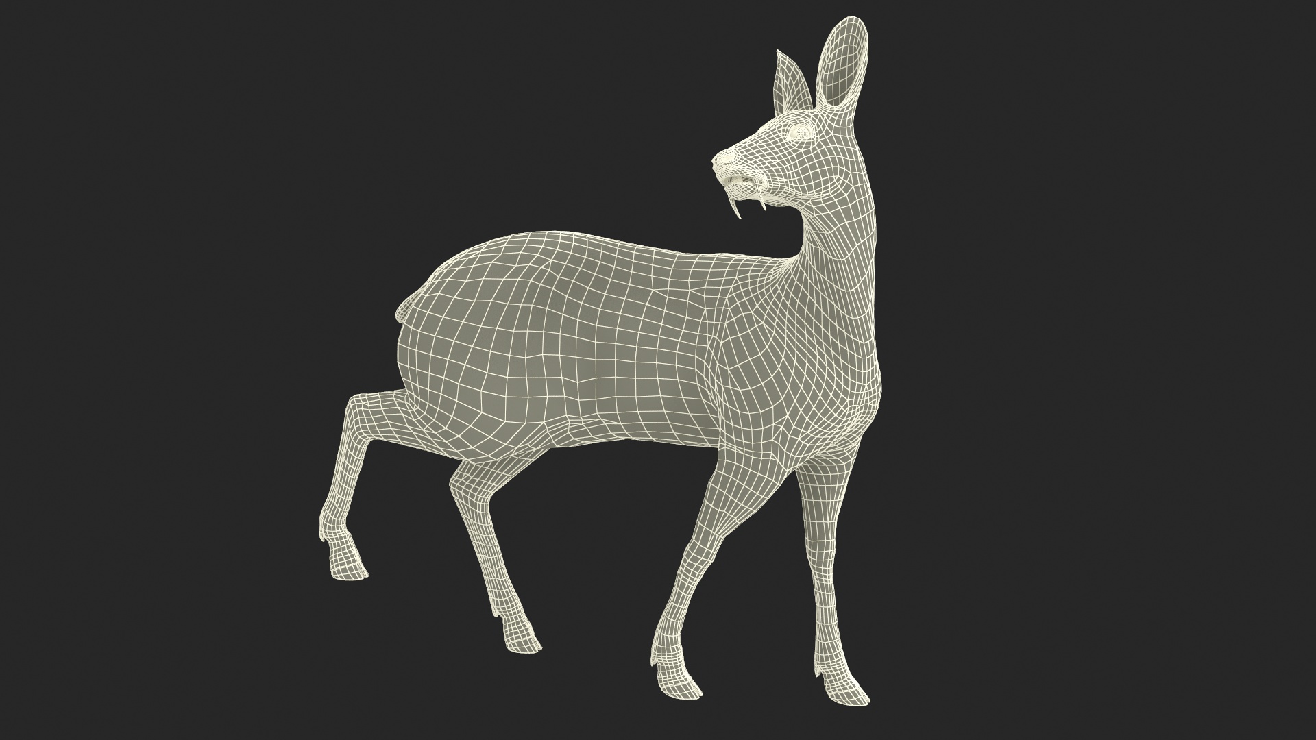 3D model Siberian Musk Deer Rigged