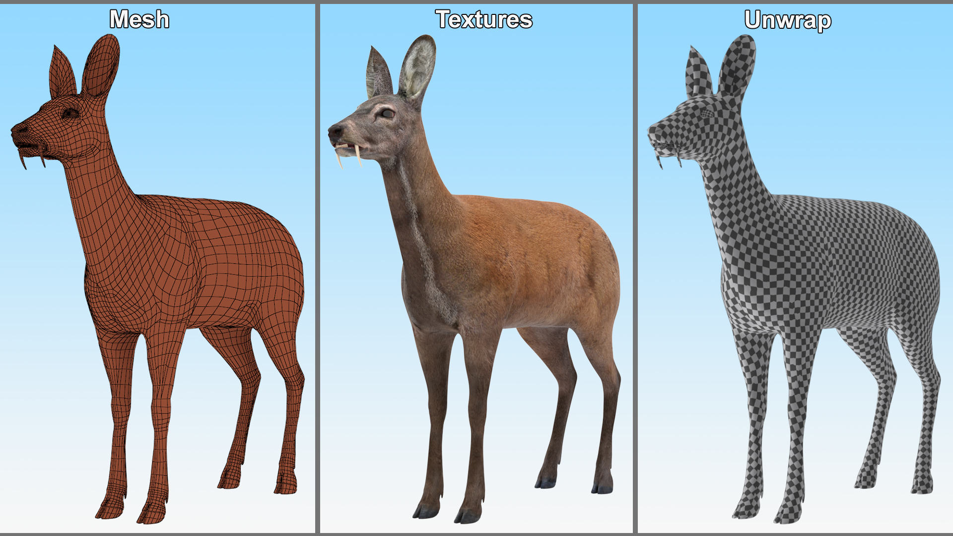 3D model Siberian Musk Deer Rigged