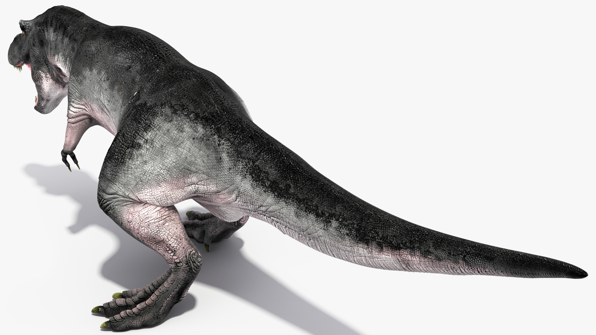 T Rex Rigged 3D