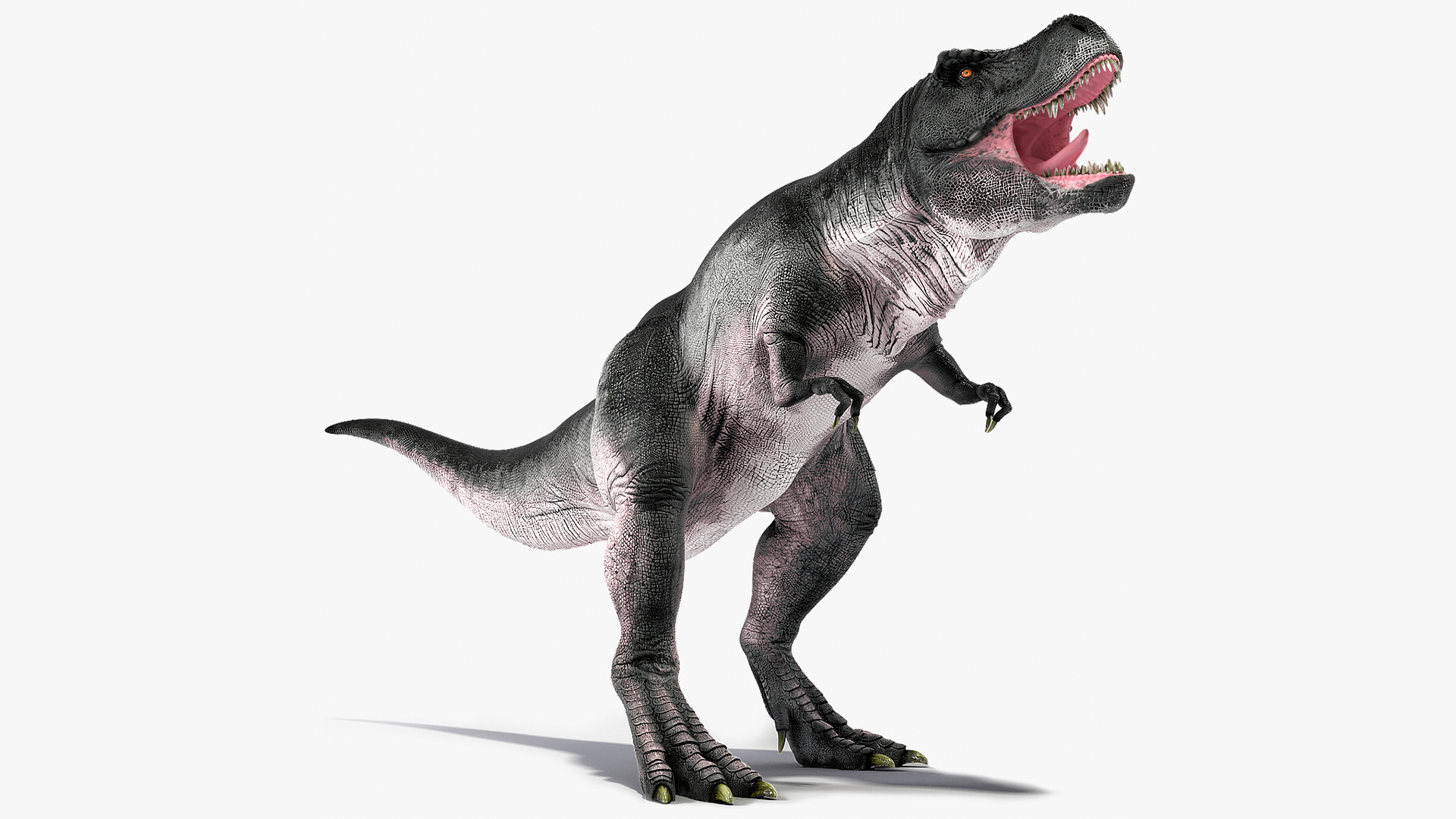 T Rex Rigged 3D