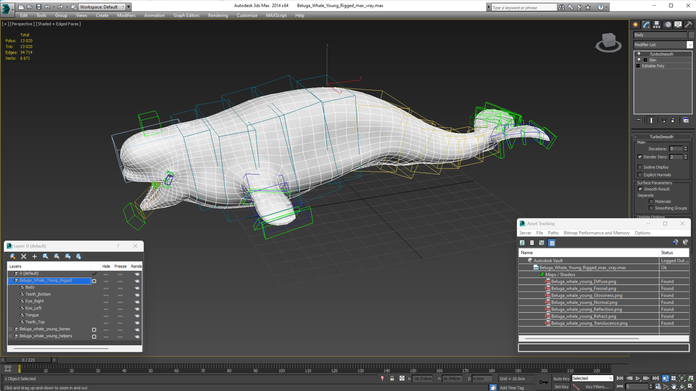 3D model Beluga Whale Young Rigged