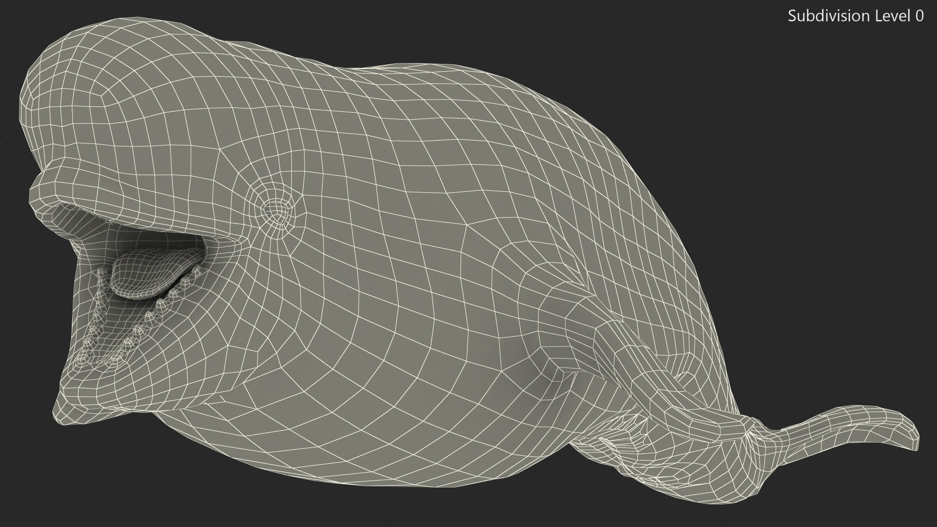 3D model Beluga Whale Young Rigged