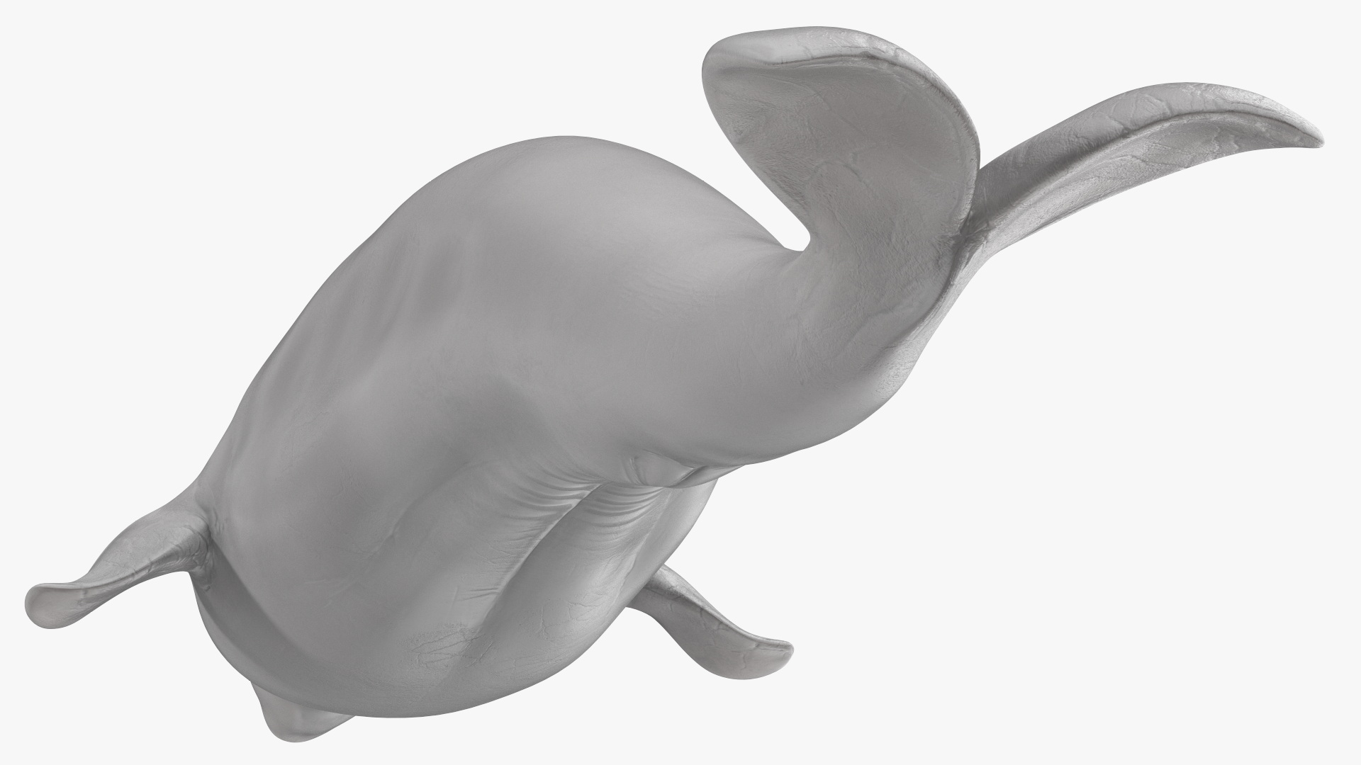 3D model Beluga Whale Young Rigged