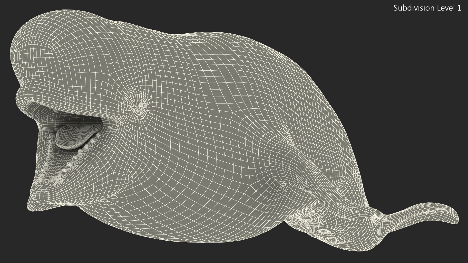 3D model Beluga Whale Young Rigged