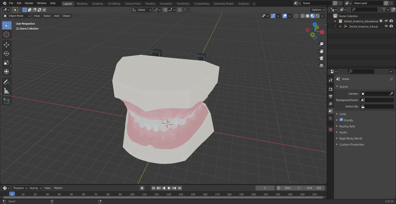 3D Dental Anatomy Educational Pediatric Kit with Removable Open Bite Teeth