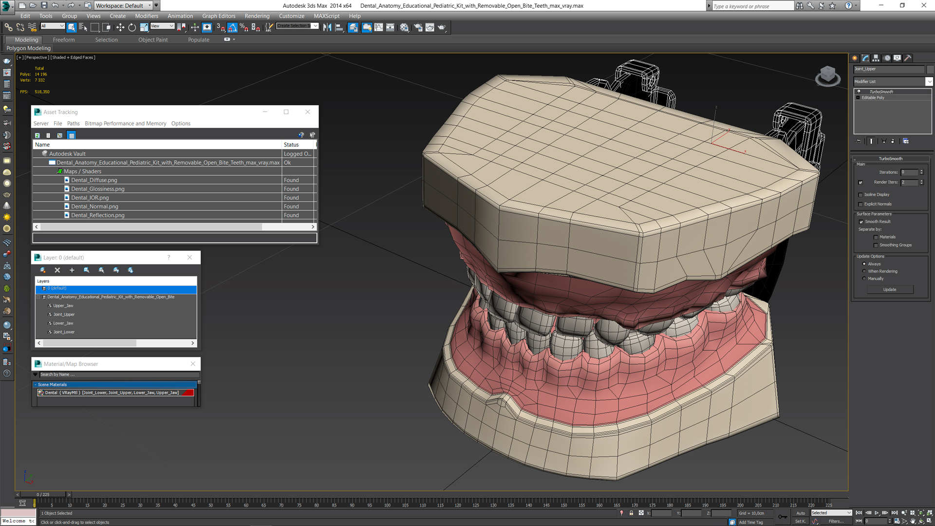 3D Dental Anatomy Educational Pediatric Kit with Removable Open Bite Teeth
