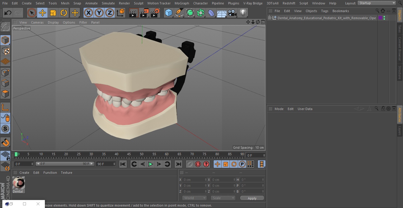 3D Dental Anatomy Educational Pediatric Kit with Removable Open Bite Teeth