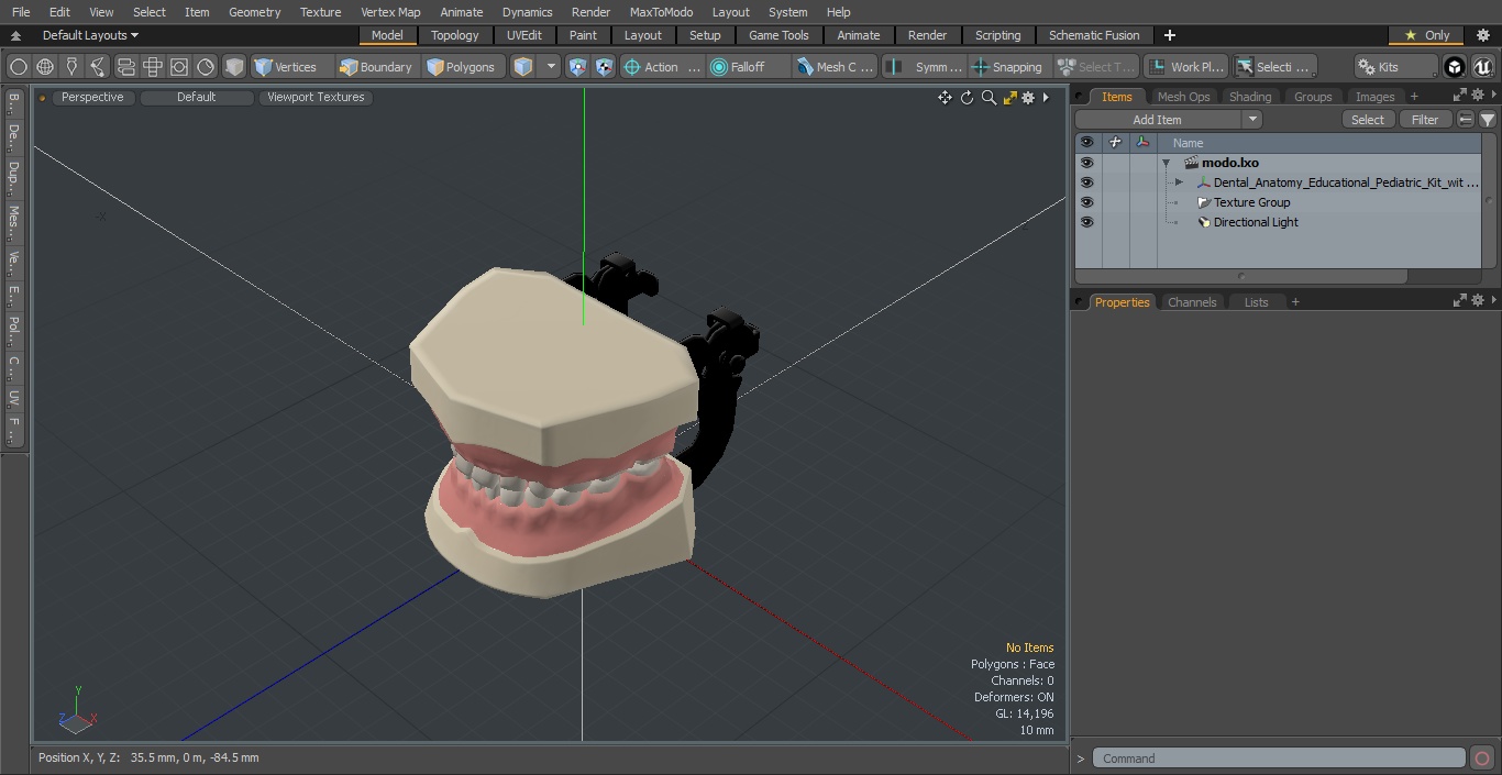 3D Dental Anatomy Educational Pediatric Kit with Removable Open Bite Teeth