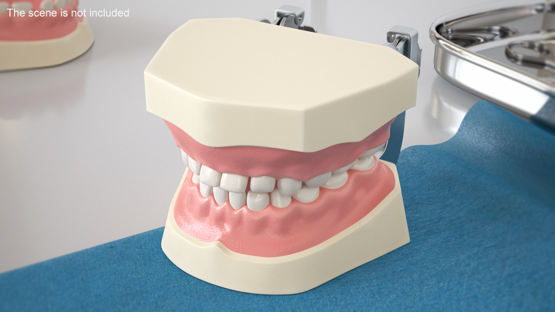 3D Dental Anatomy Educational Pediatric Kit with Removable Open Bite Teeth