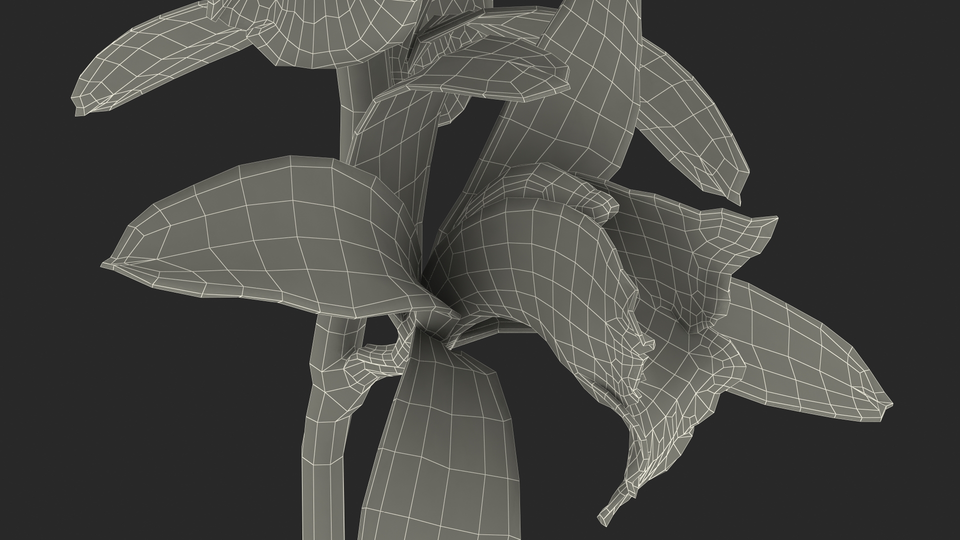 3D White Orchid Branch Fur model