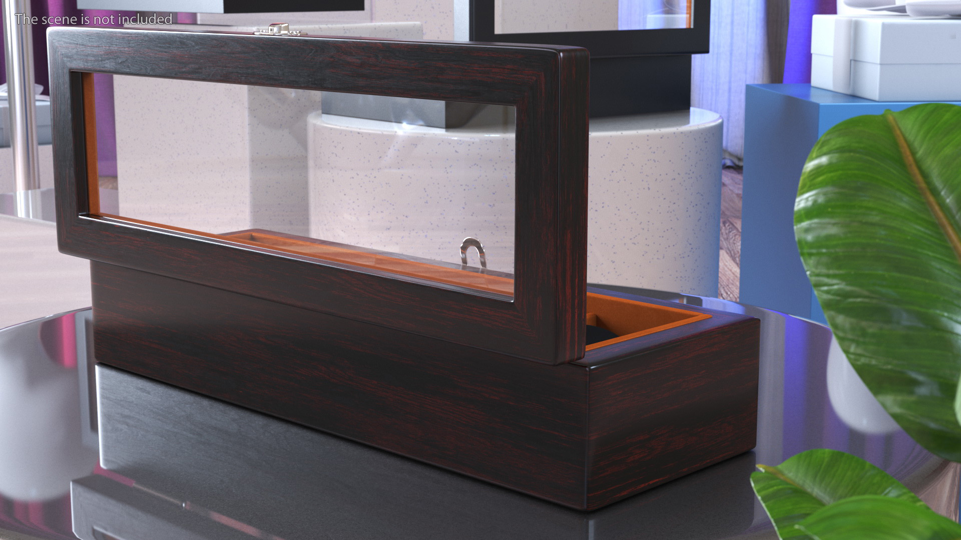 Watch Display Box Dark 3D