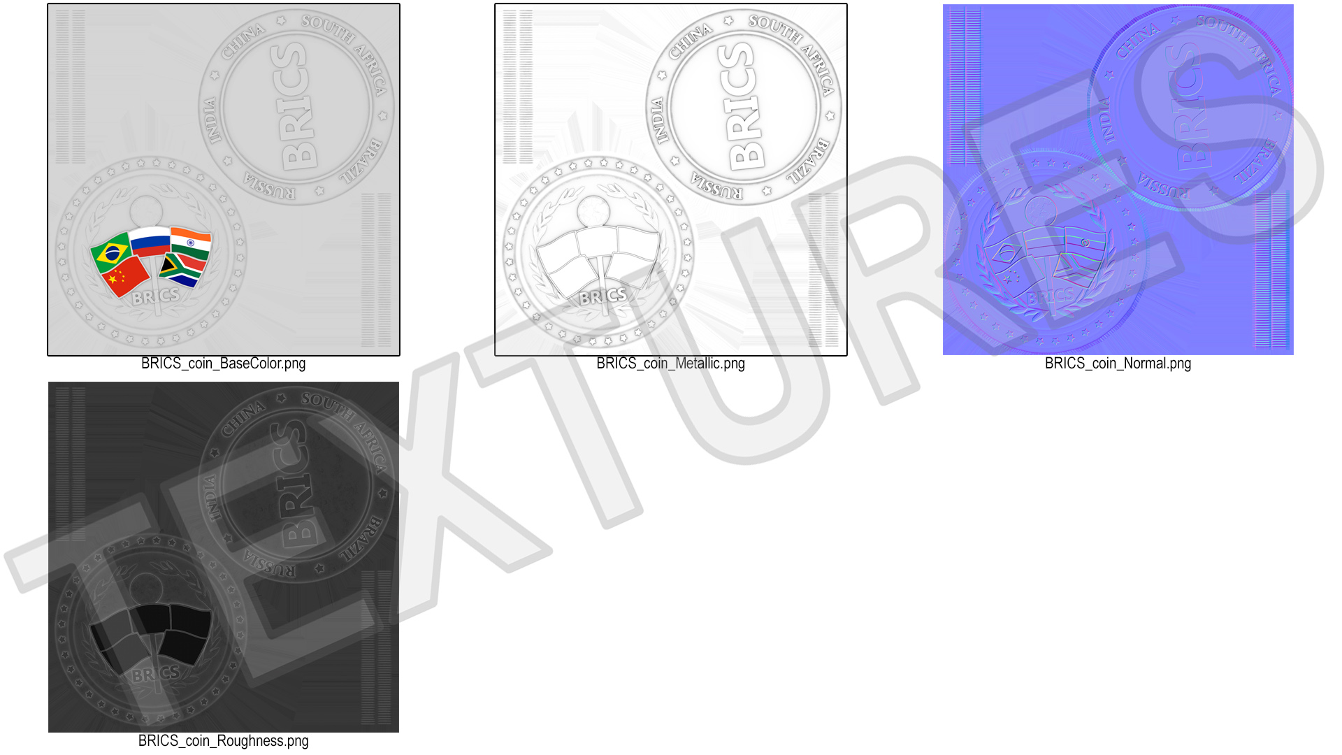 Silver BRICS Coin 3D