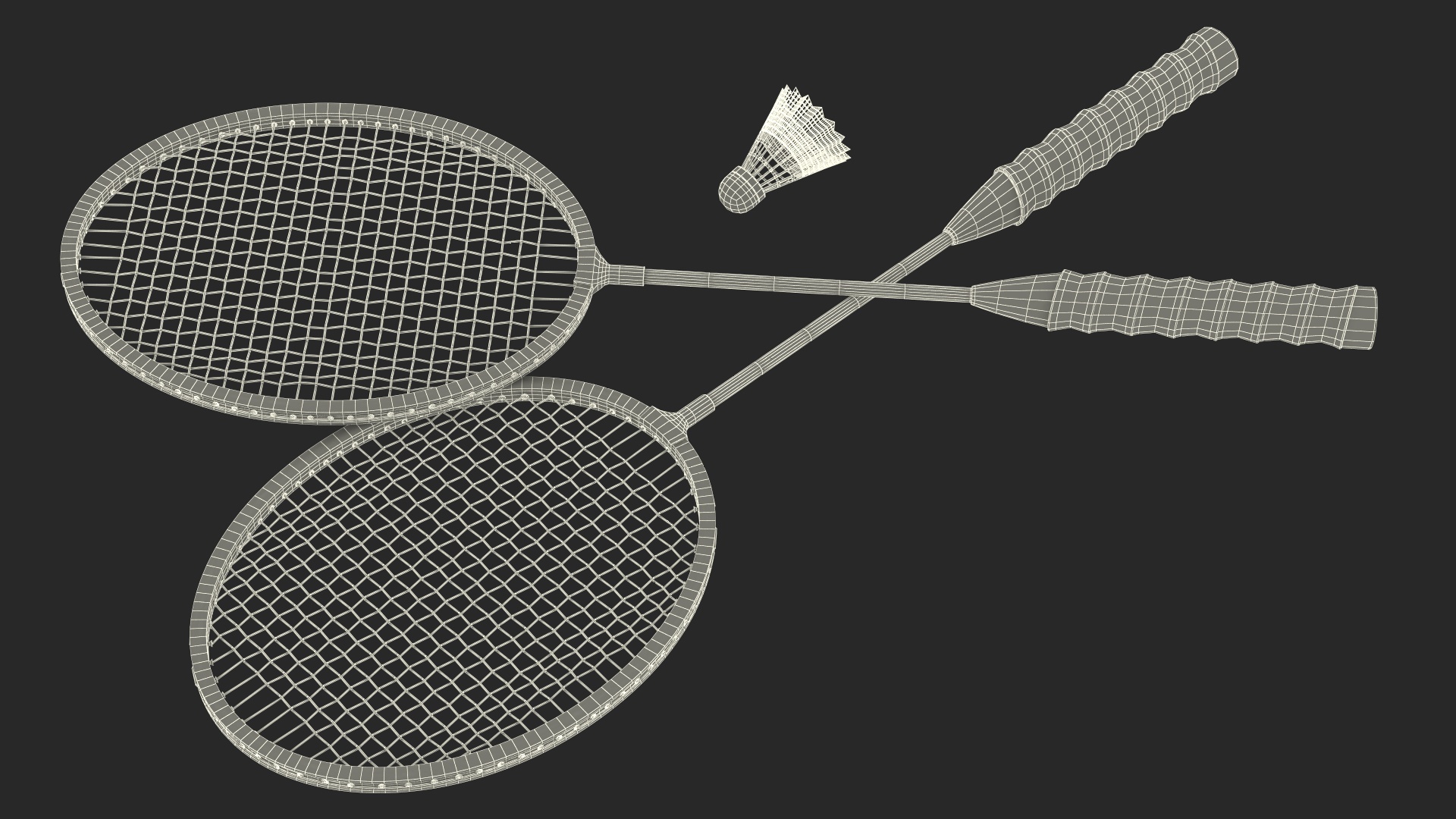 3D Two Blue Badminton Rackets with Plastic Shuttlecock