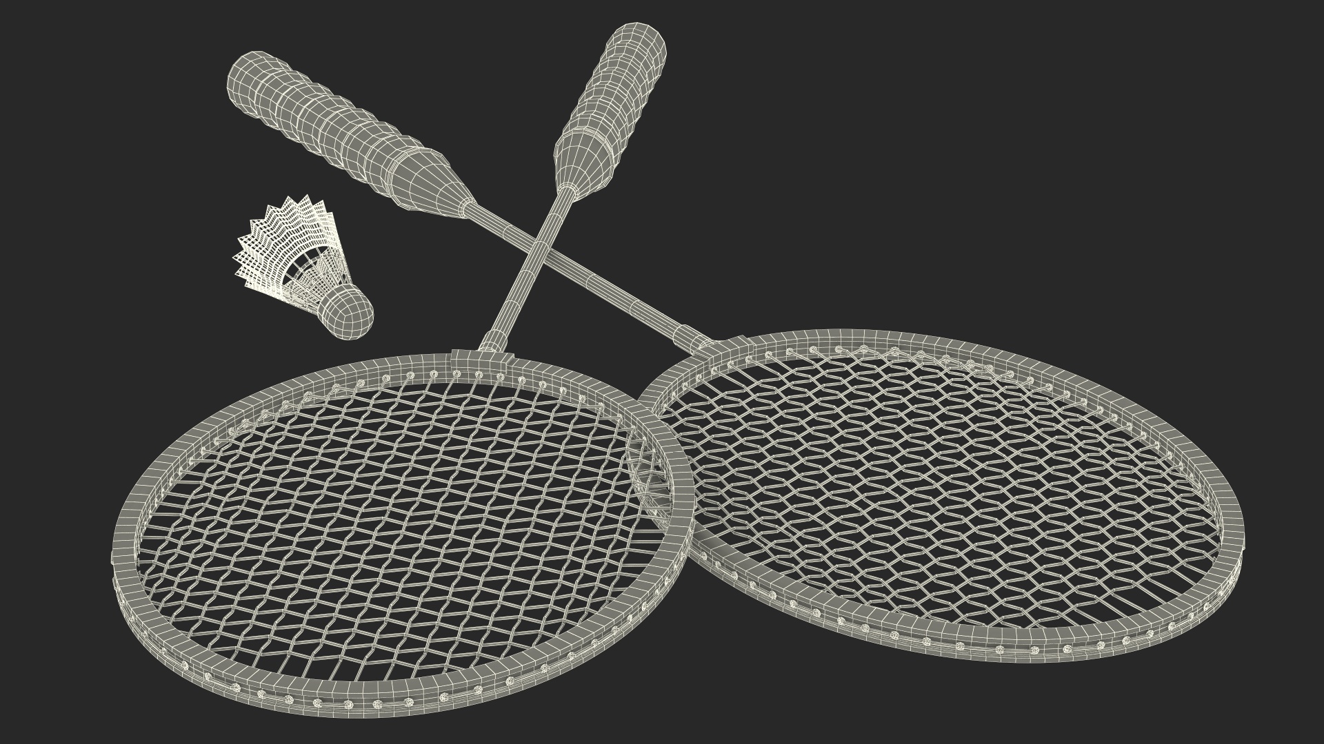 3D Two Blue Badminton Rackets with Plastic Shuttlecock