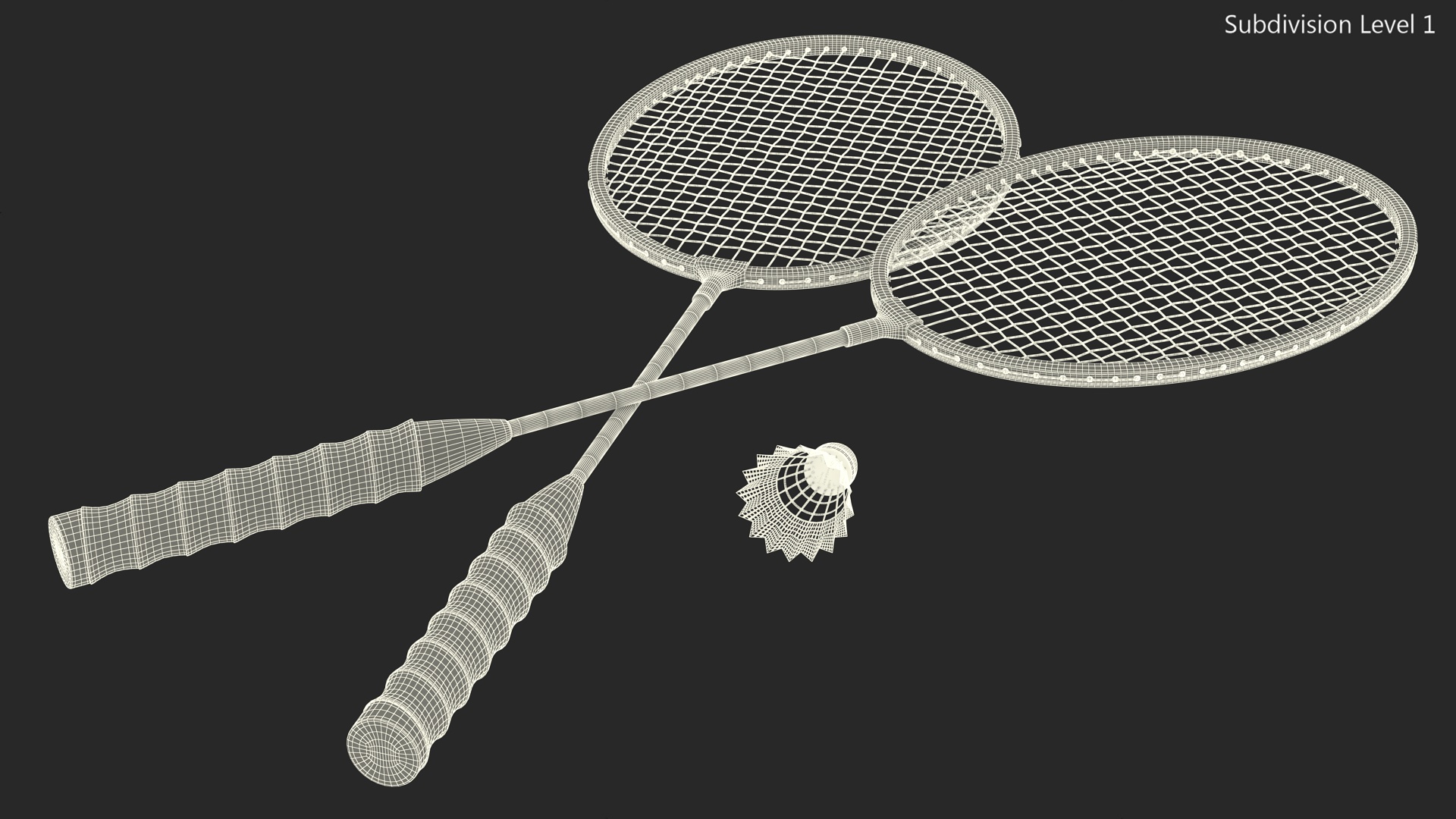 3D Two Blue Badminton Rackets with Plastic Shuttlecock