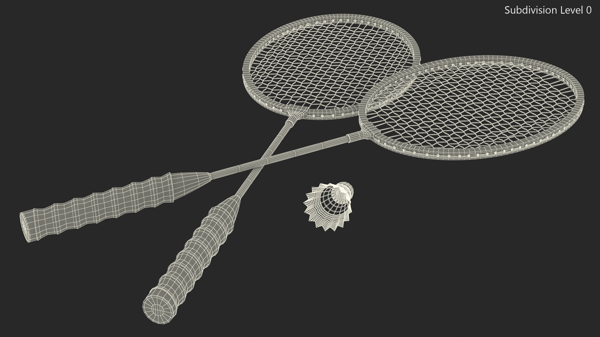3D Two Blue Badminton Rackets with Plastic Shuttlecock
