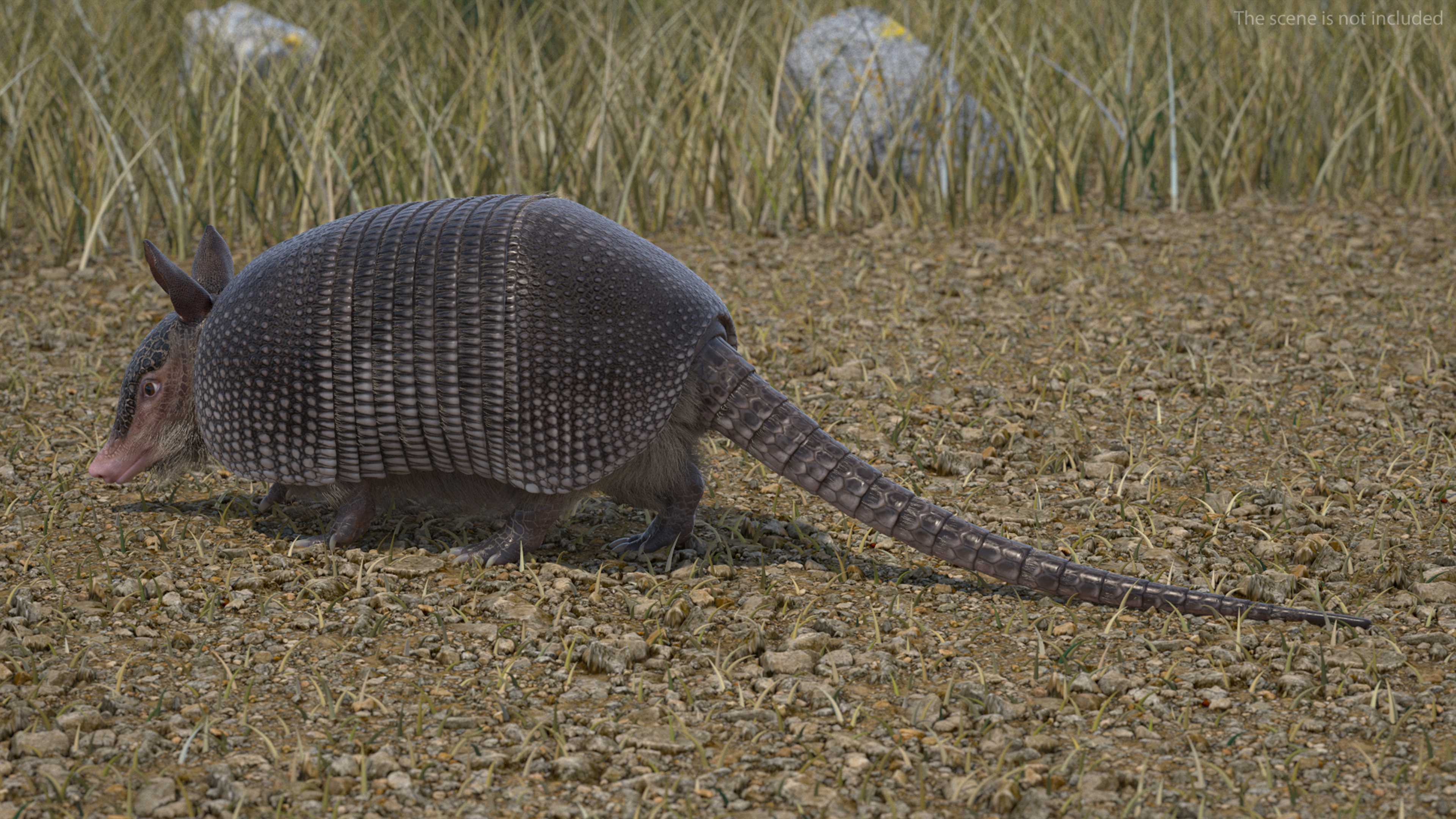 3D model Armadillo in Walking Pose Black Fur