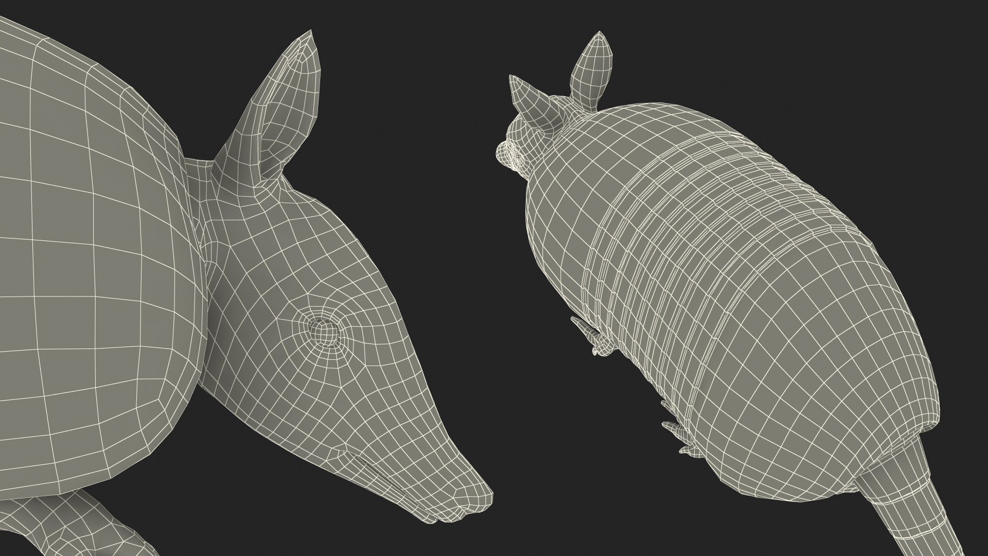 3D model Armadillo in Walking Pose Black Fur