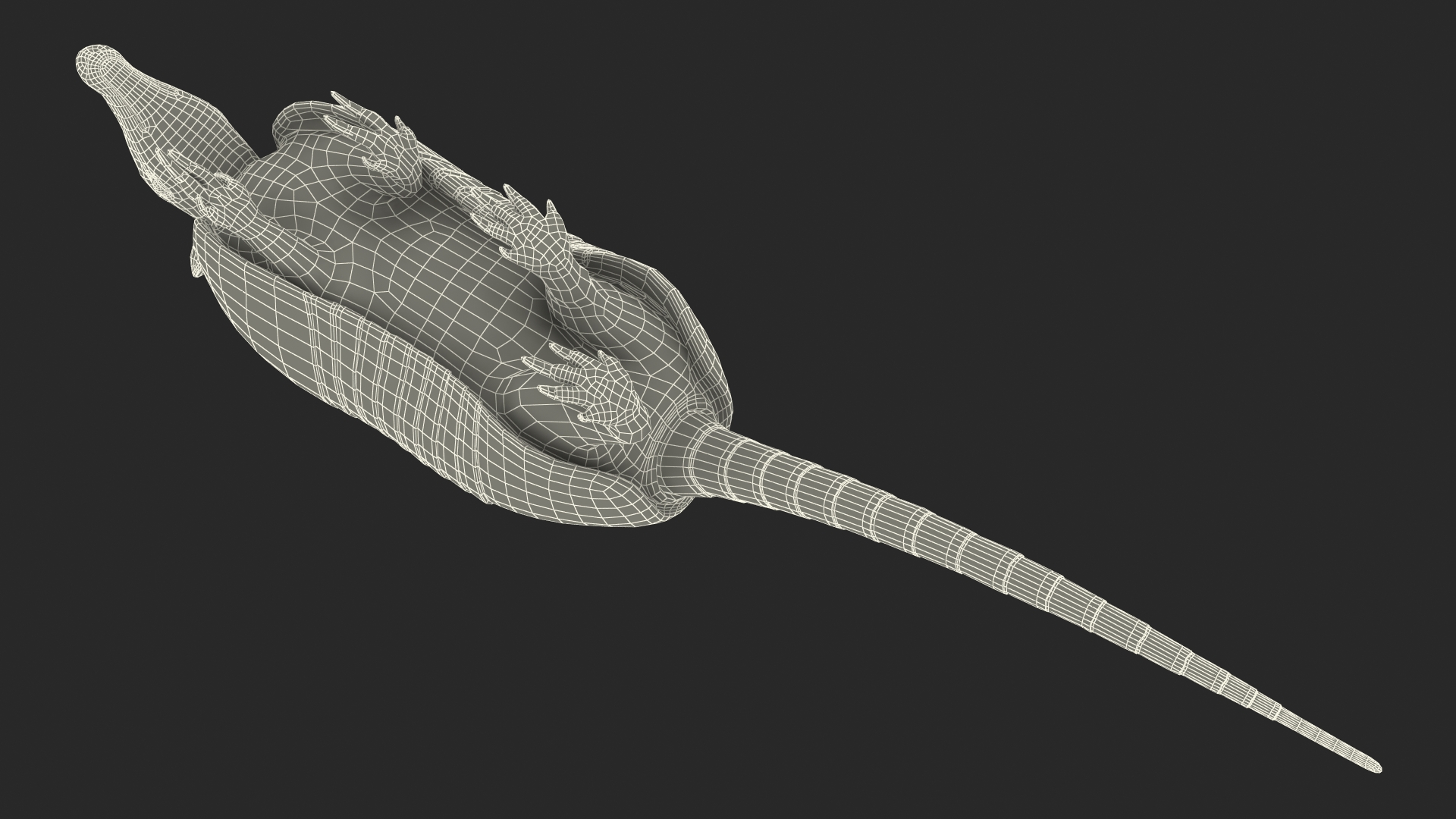 3D model Armadillo in Walking Pose Black Fur