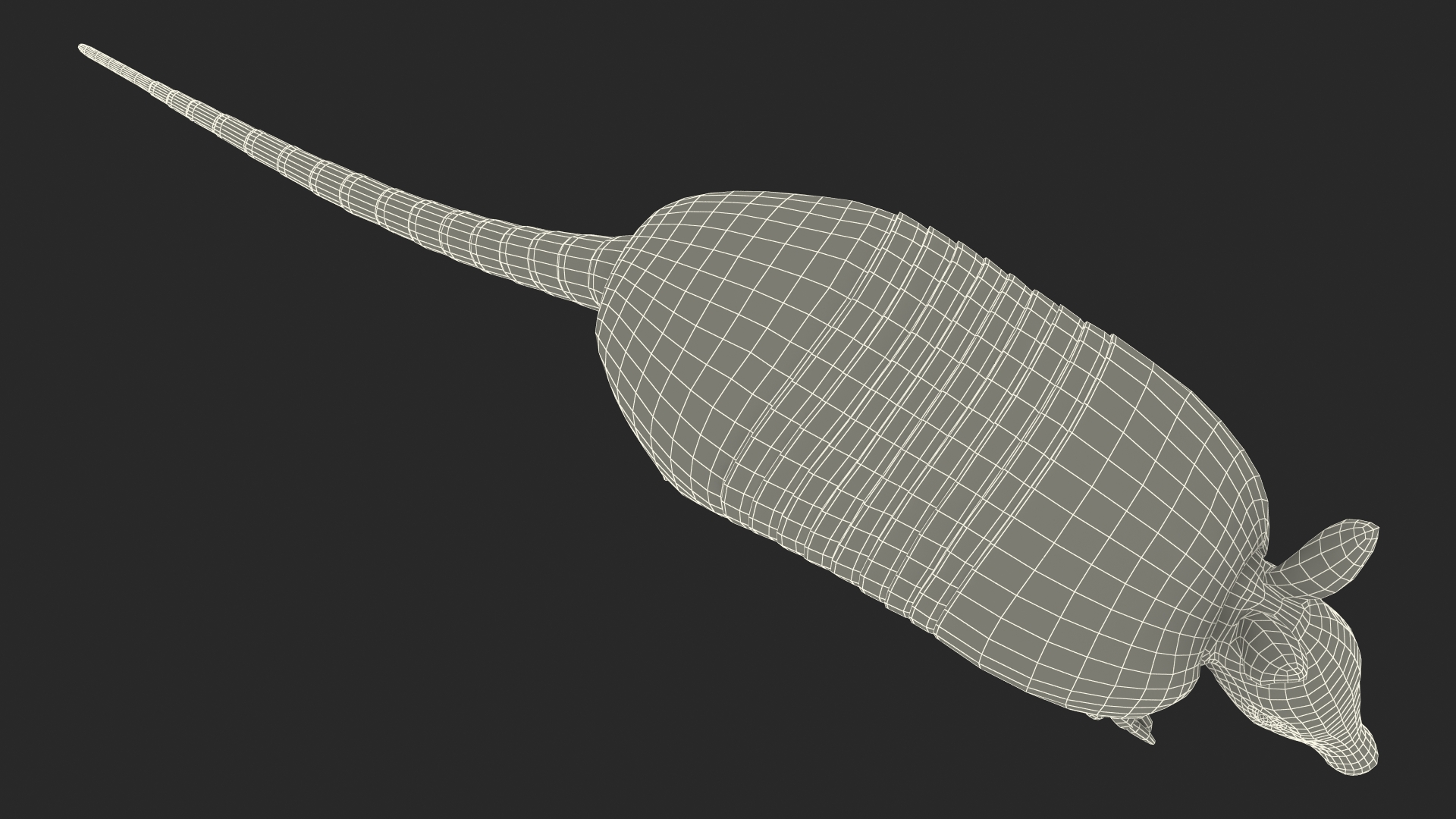 3D model Armadillo in Walking Pose Black Fur