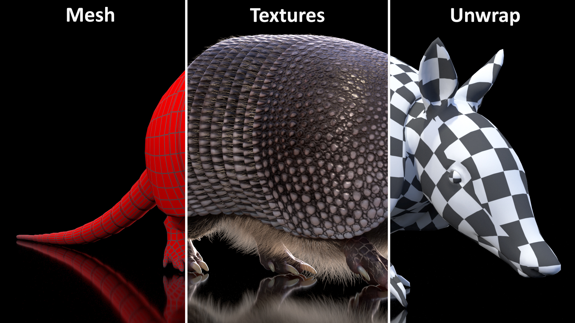 3D model Armadillo in Walking Pose Black Fur
