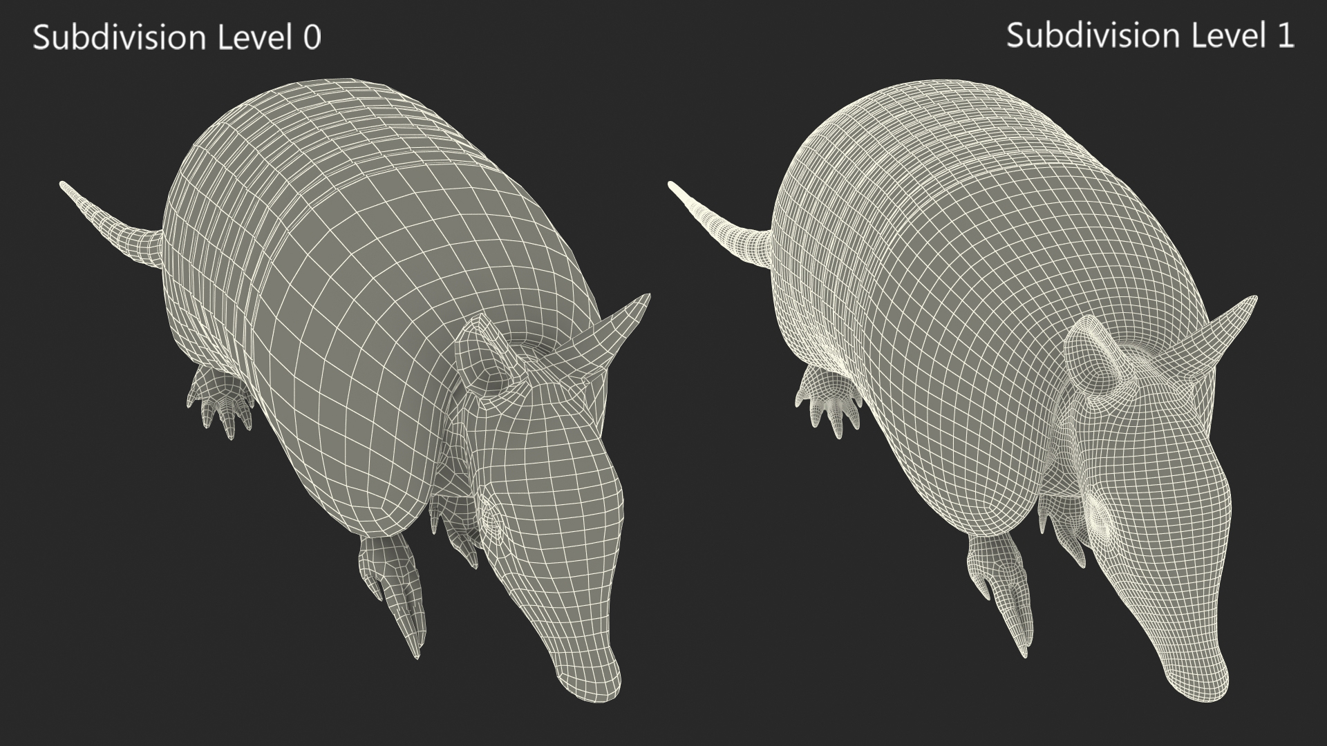 3D model Armadillo in Walking Pose Black Fur