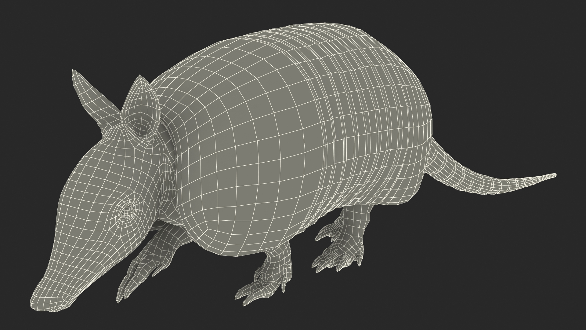 3D model Armadillo in Walking Pose Black Fur
