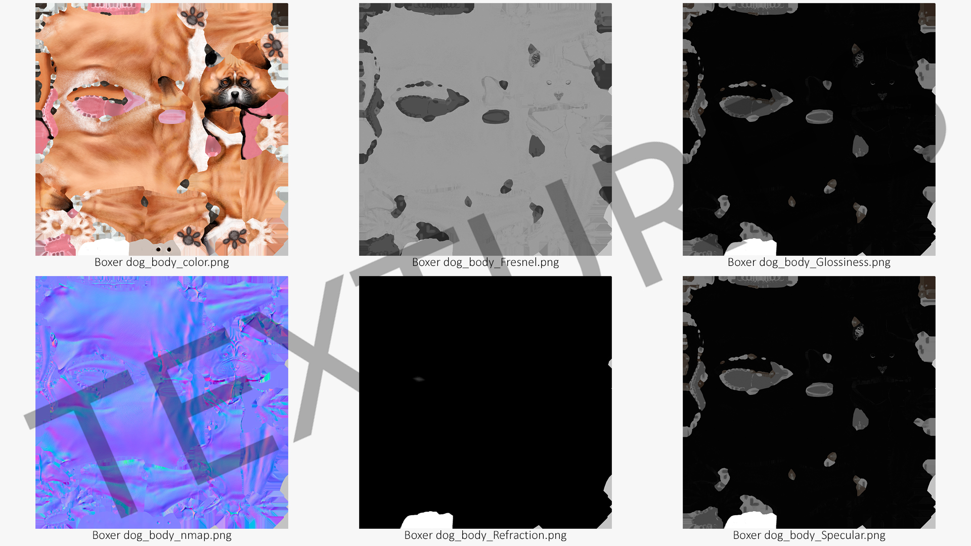 3D Boxer Dog Fur model