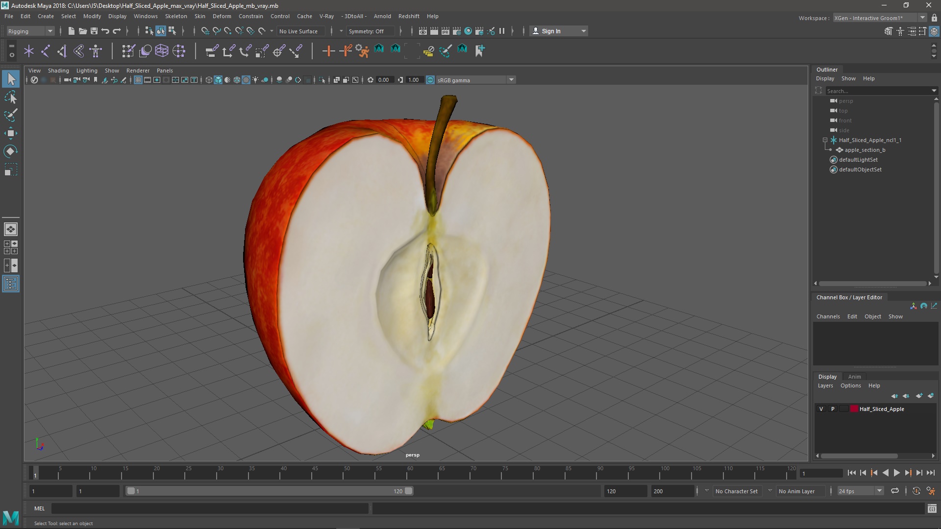Half Sliced Apple 3D