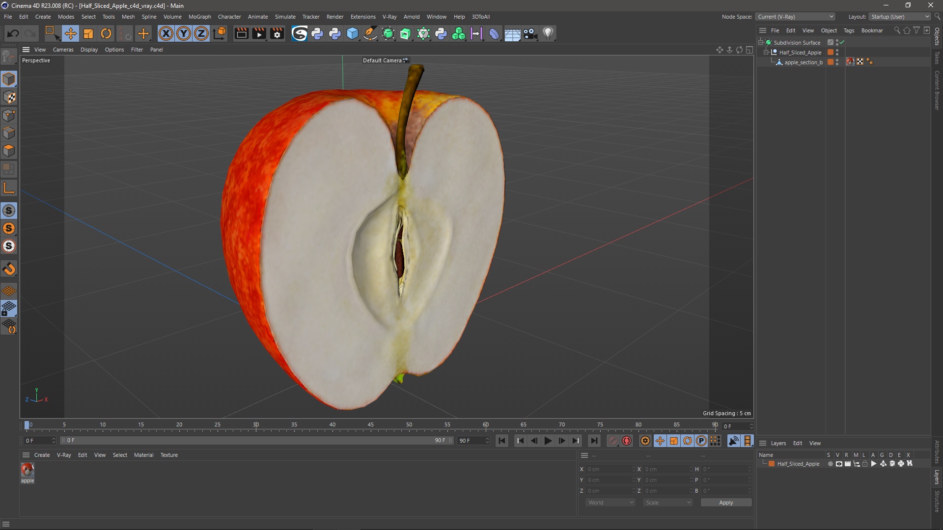 Half Sliced Apple 3D
