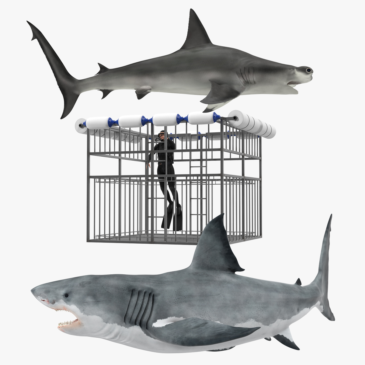 Shark Cage Diving Rigged 3D Model