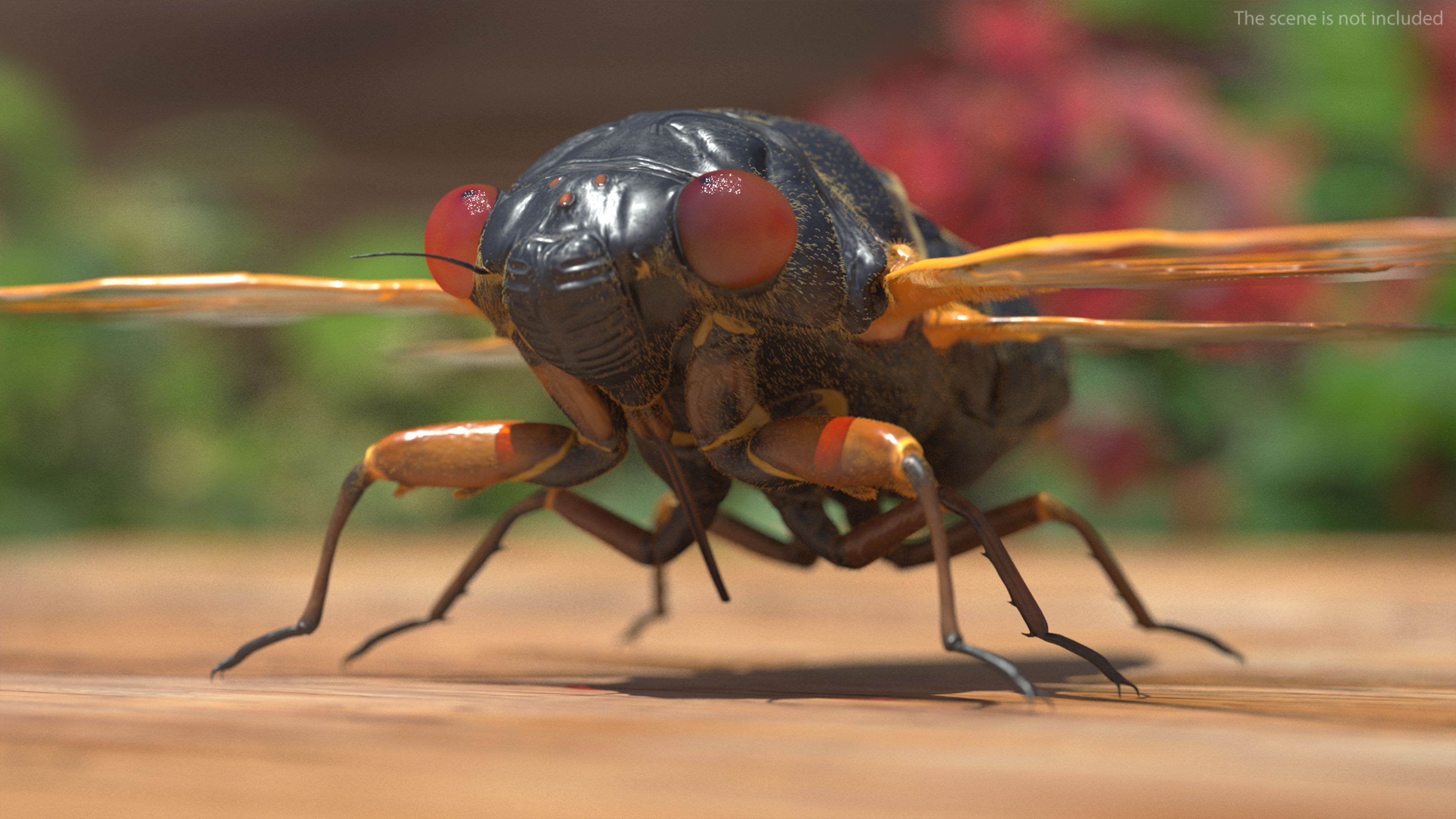 3D Pharaoh Cicada Fur model