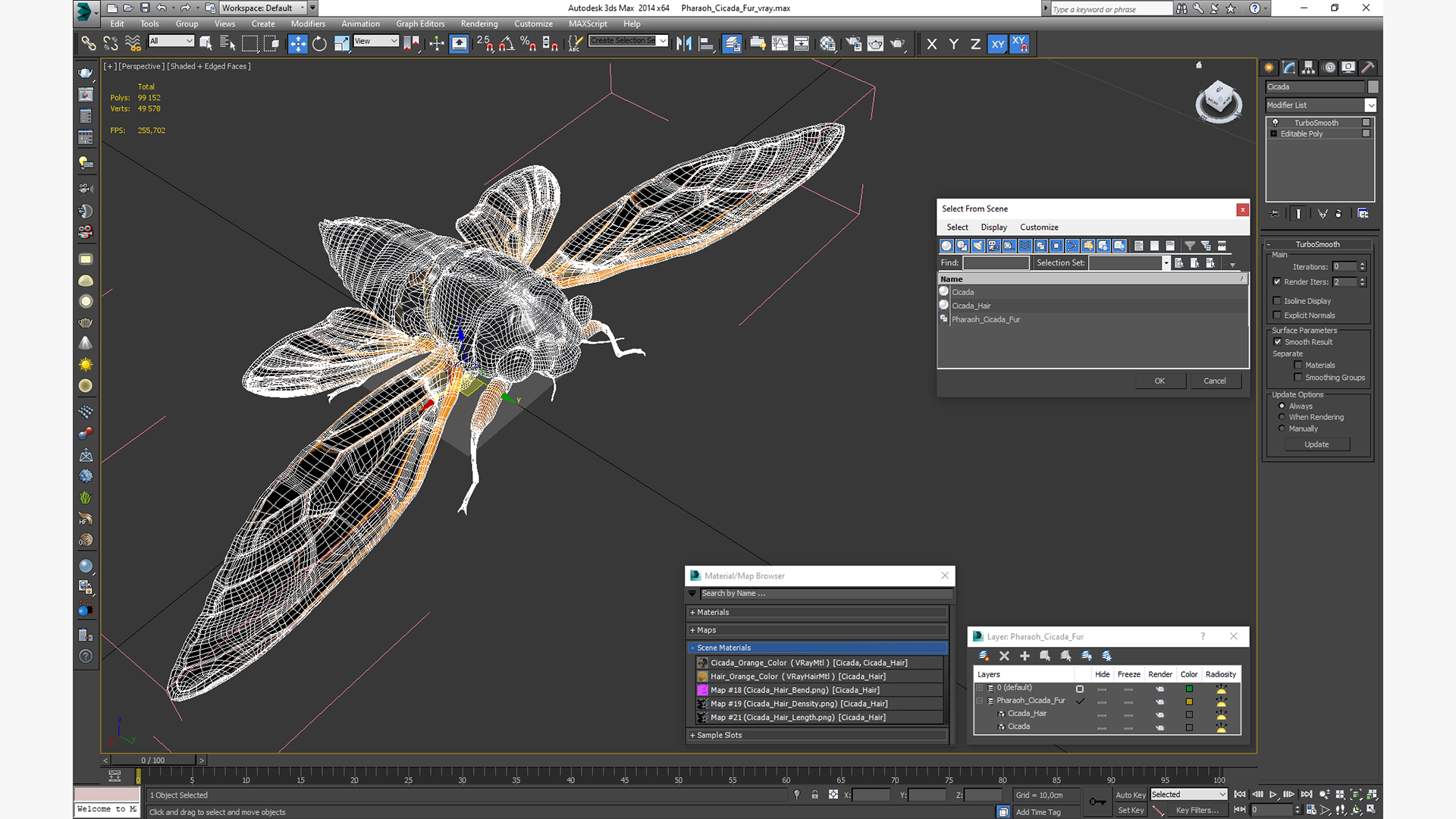 3D Pharaoh Cicada Fur model