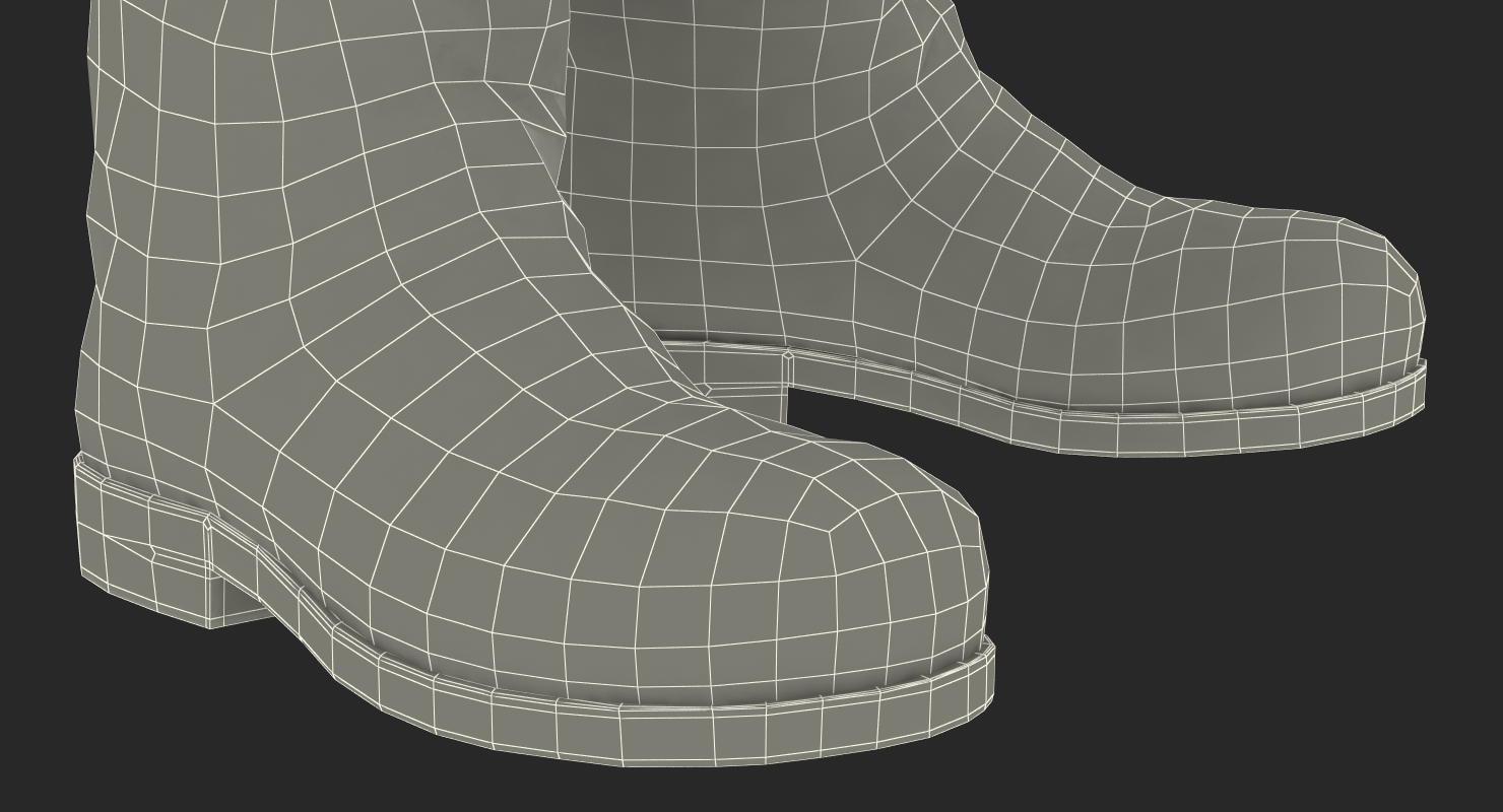 Old Leather Boots 3D