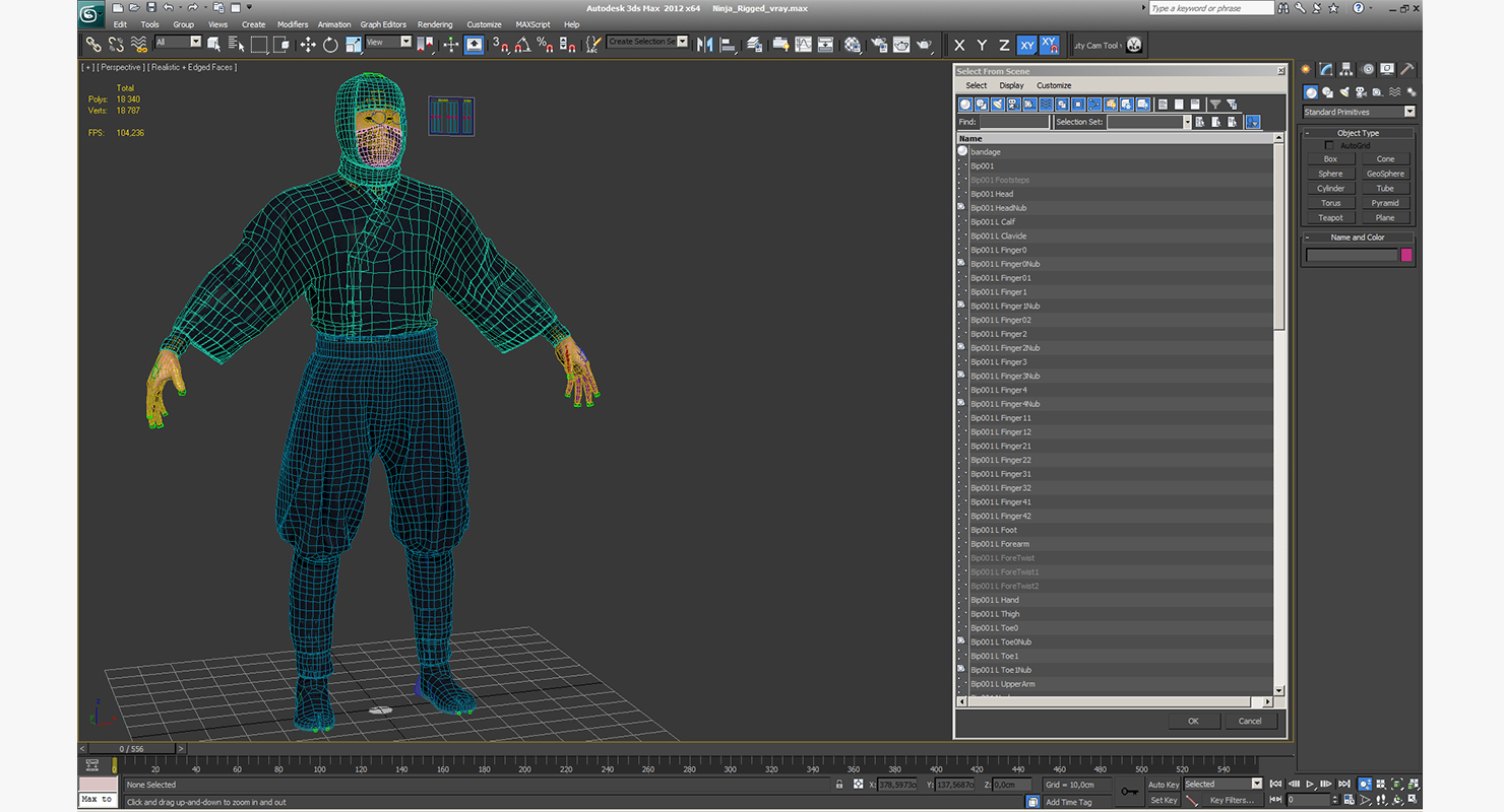 Ninja Rigged 3D