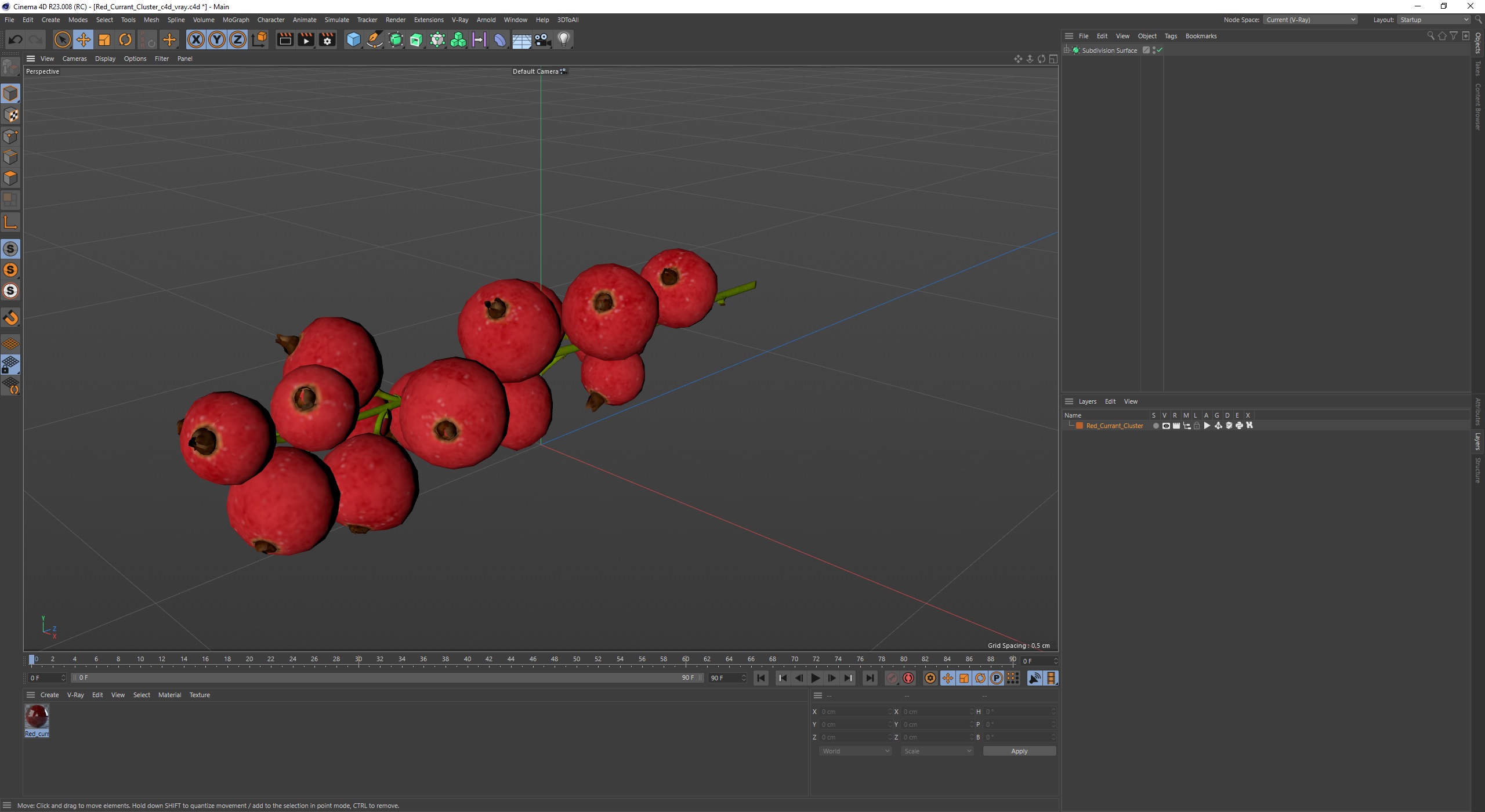 Red Currant Cluster 3D model