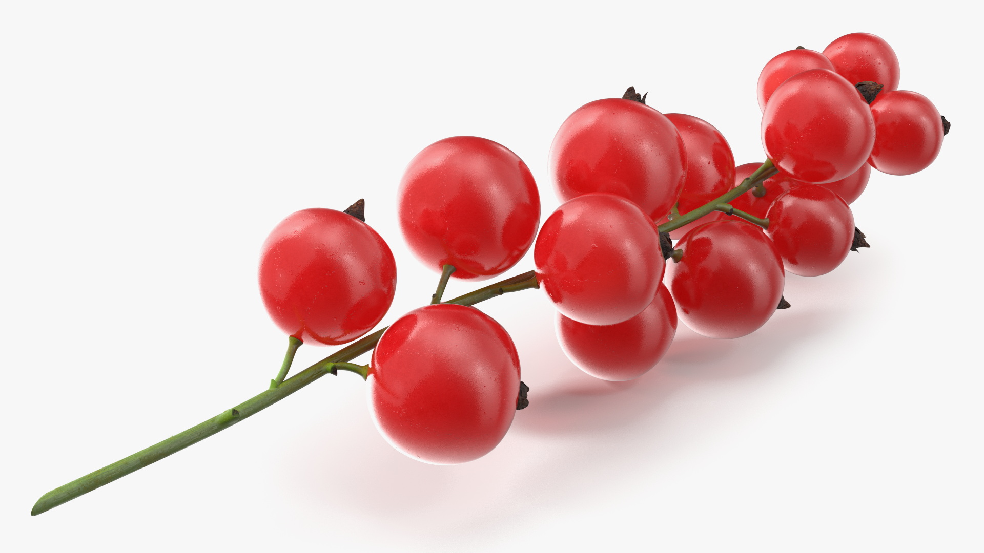 Red Currant Cluster 3D model