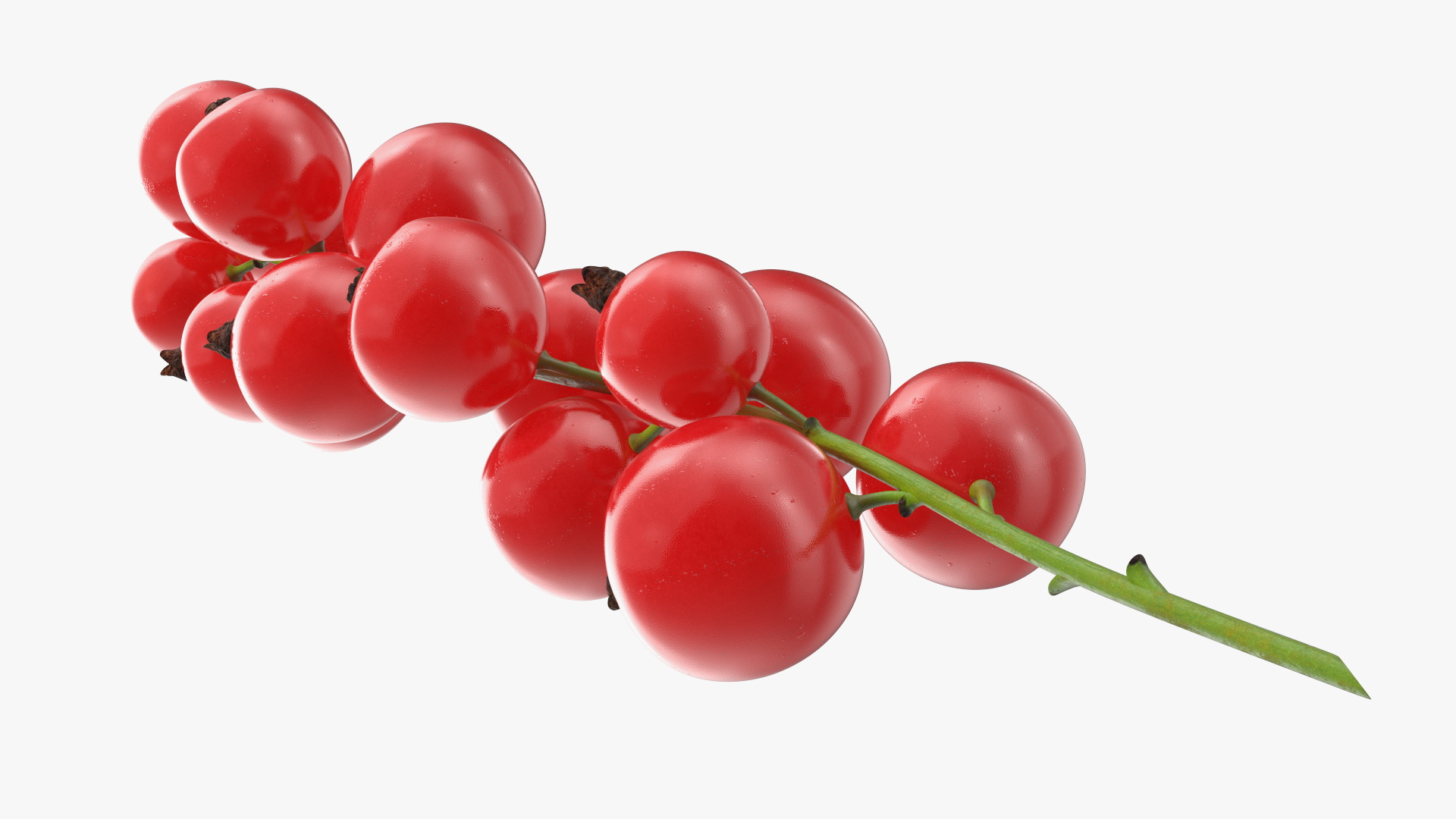Red Currant Cluster 3D model