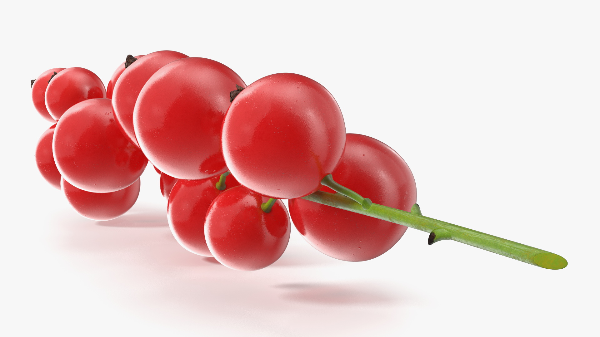 Red Currant Cluster 3D model