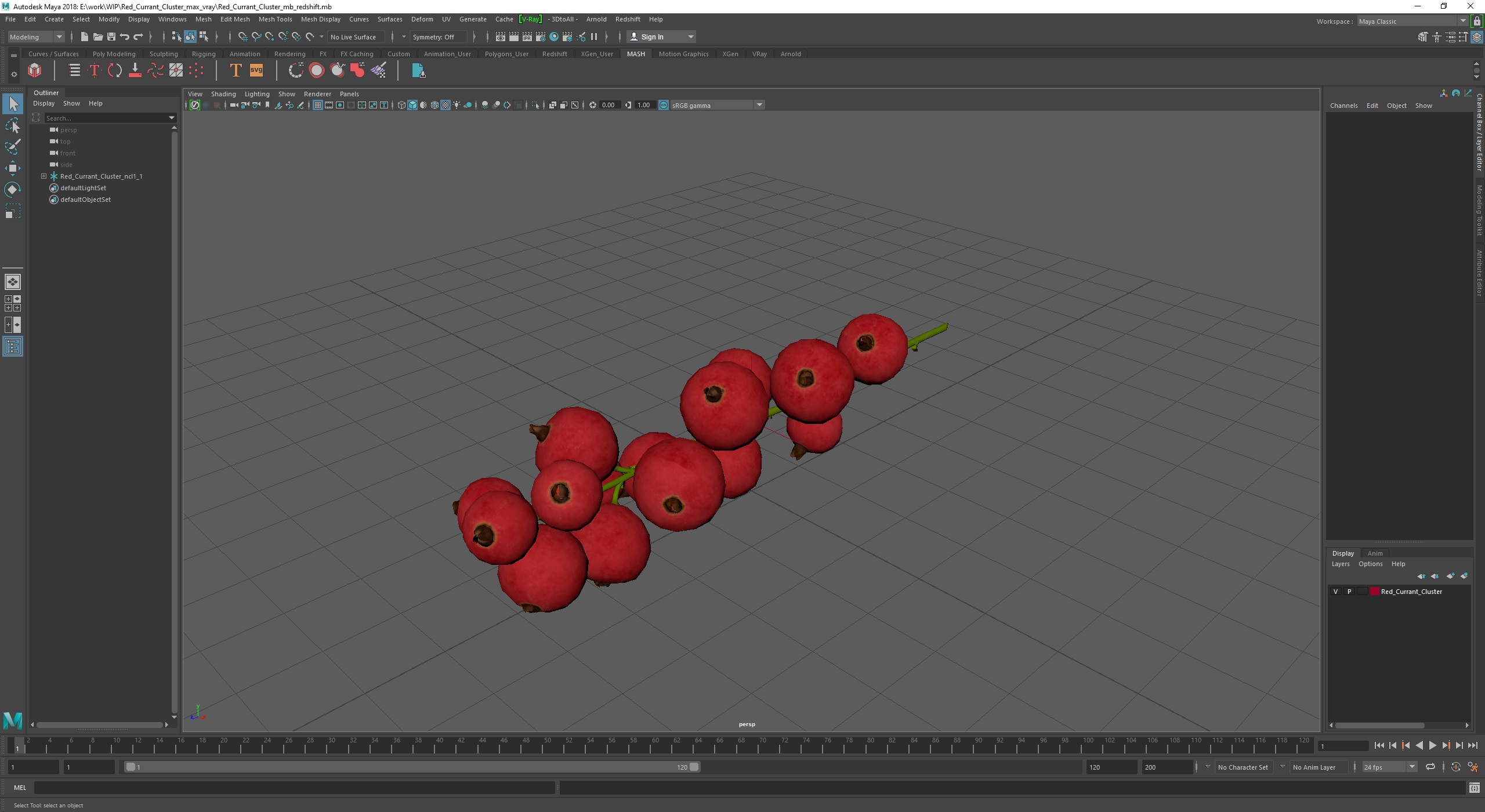 Red Currant Cluster 3D model