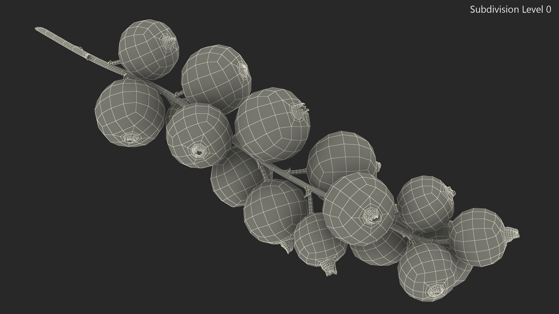 Red Currant Cluster 3D model