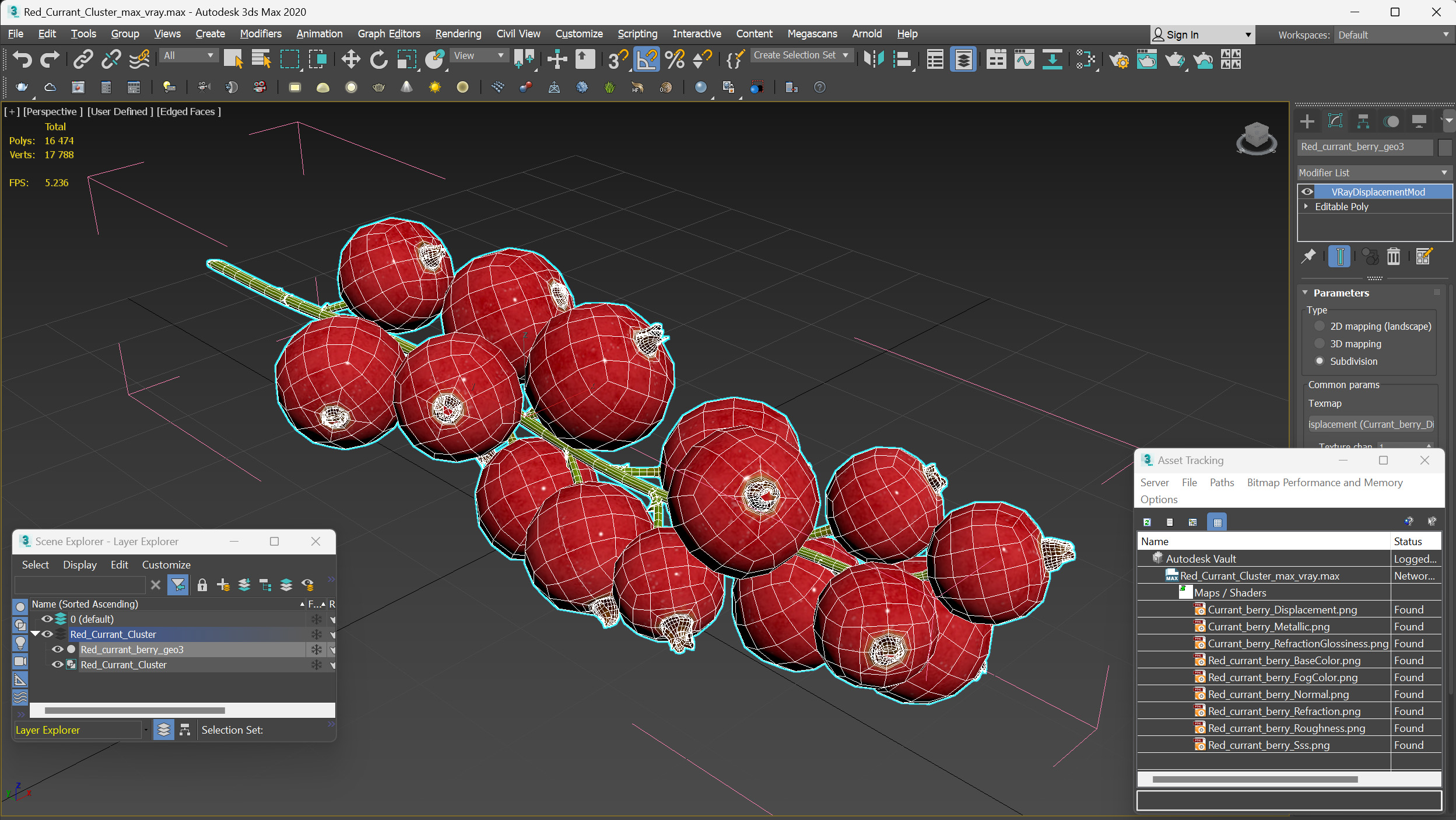 Red Currant Cluster 3D model