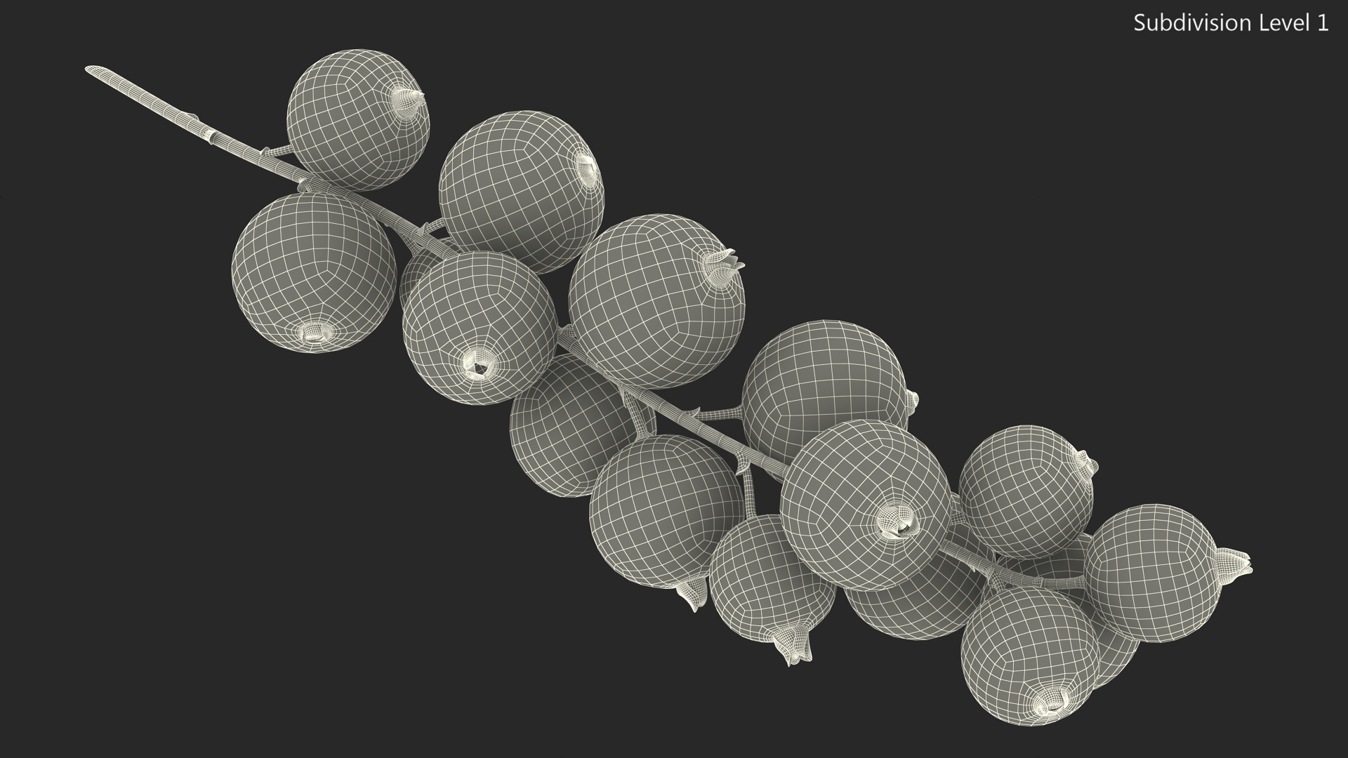 Red Currant Cluster 3D model