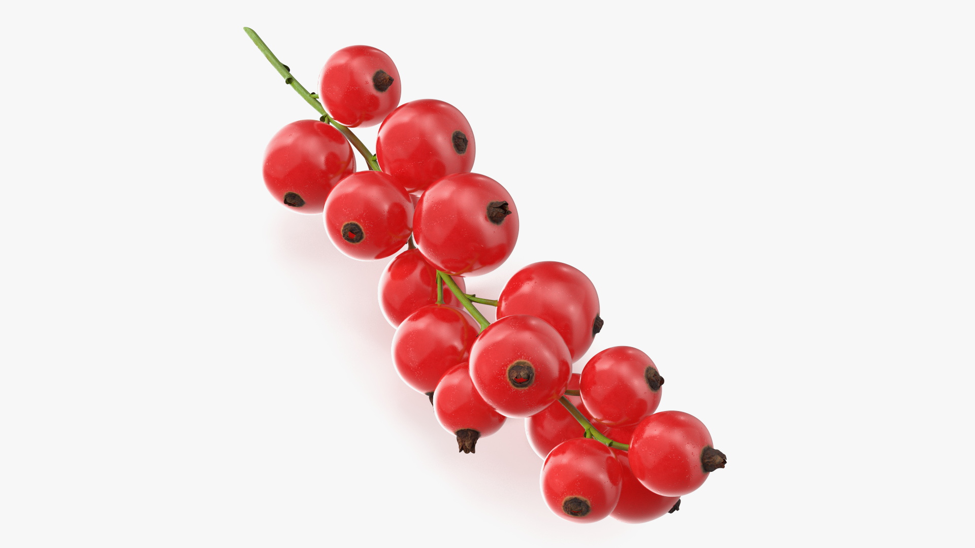 Red Currant Cluster 3D model