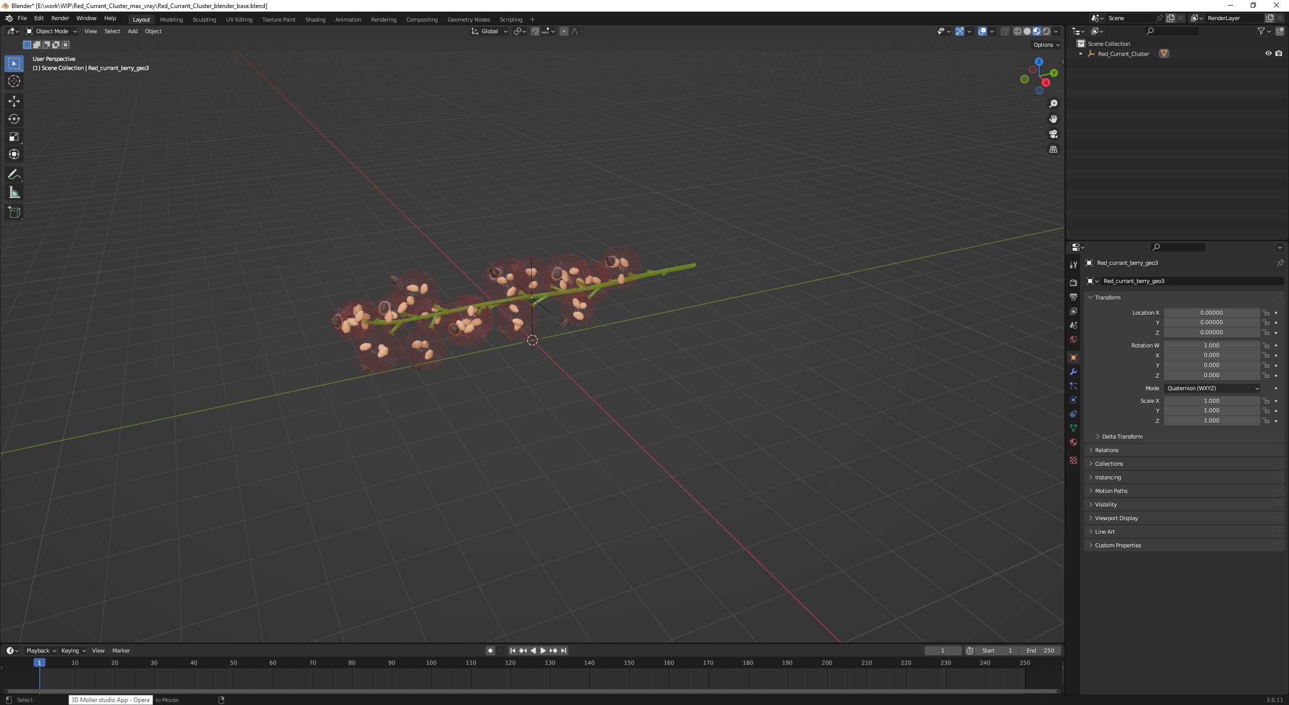 Red Currant Cluster 3D model