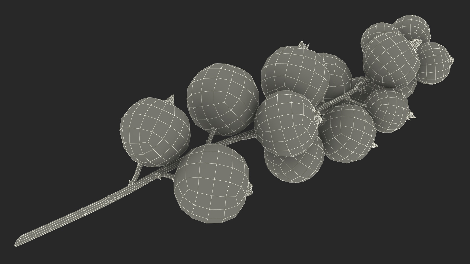 Red Currant Cluster 3D model