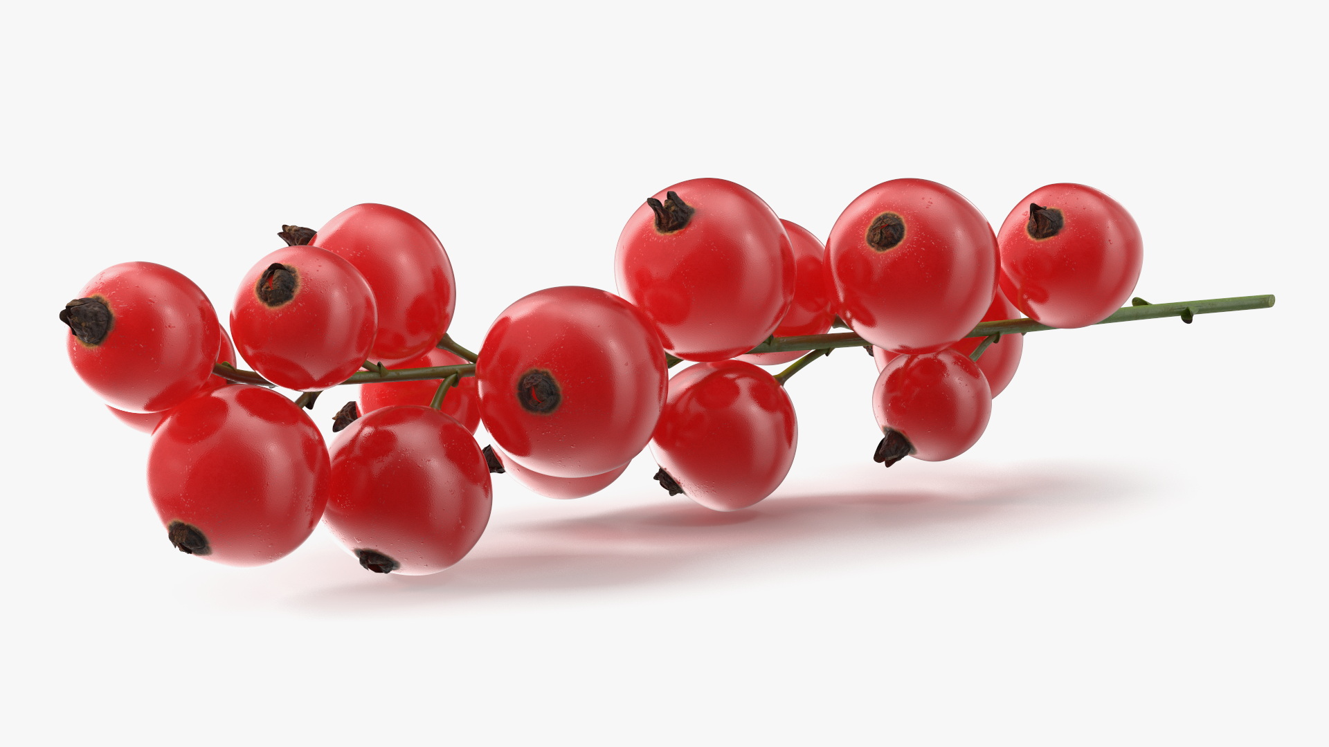 Red Currant Cluster 3D model