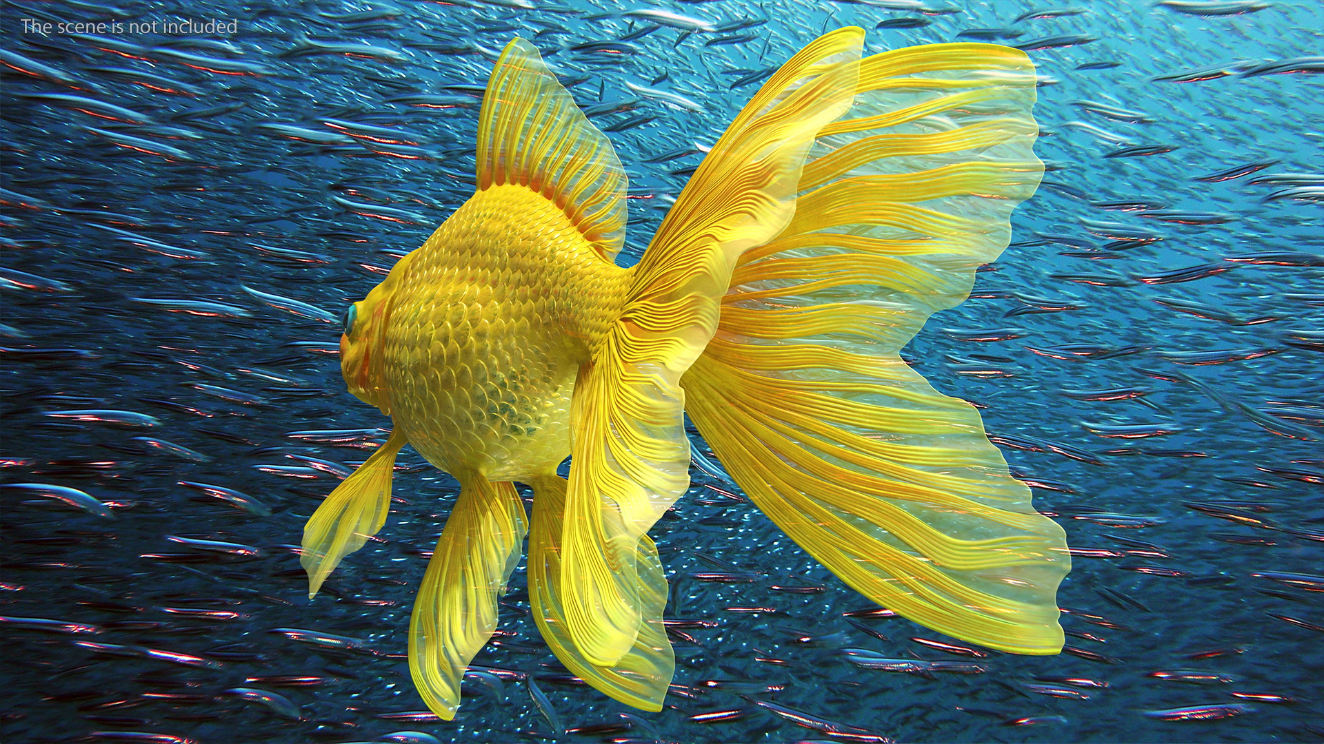 3D model Goldfish